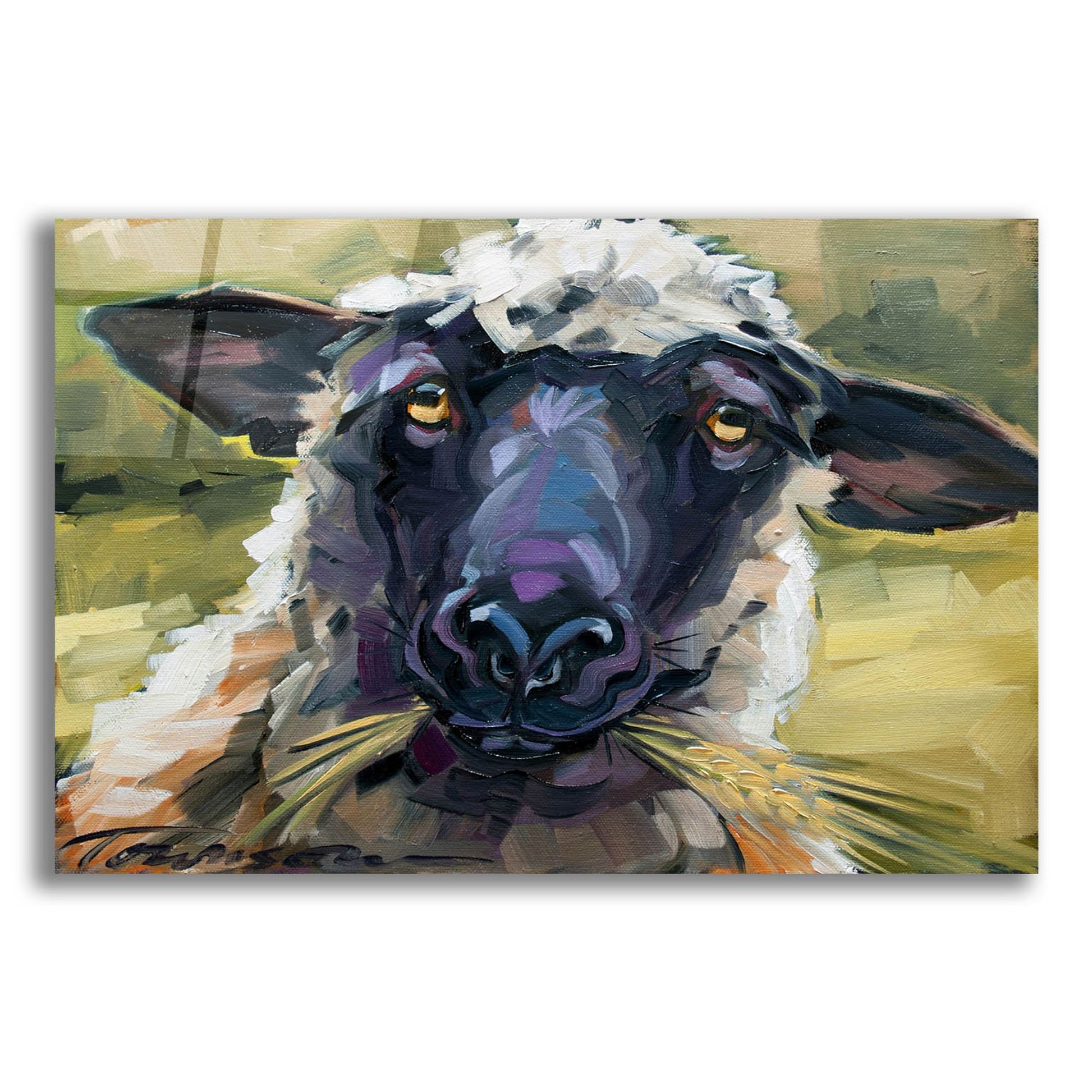 Epic Art 'Bless Ewe' by CR Townsend, Acrylic Glass Wall Art,24x16