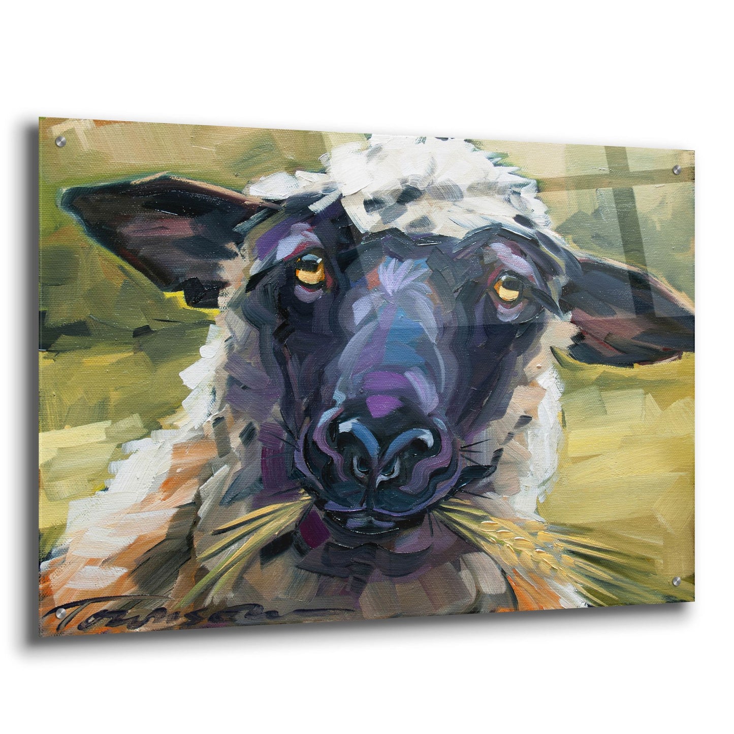 Epic Art 'Bless Ewe' by CR Townsend, Acrylic Glass Wall Art,36x24