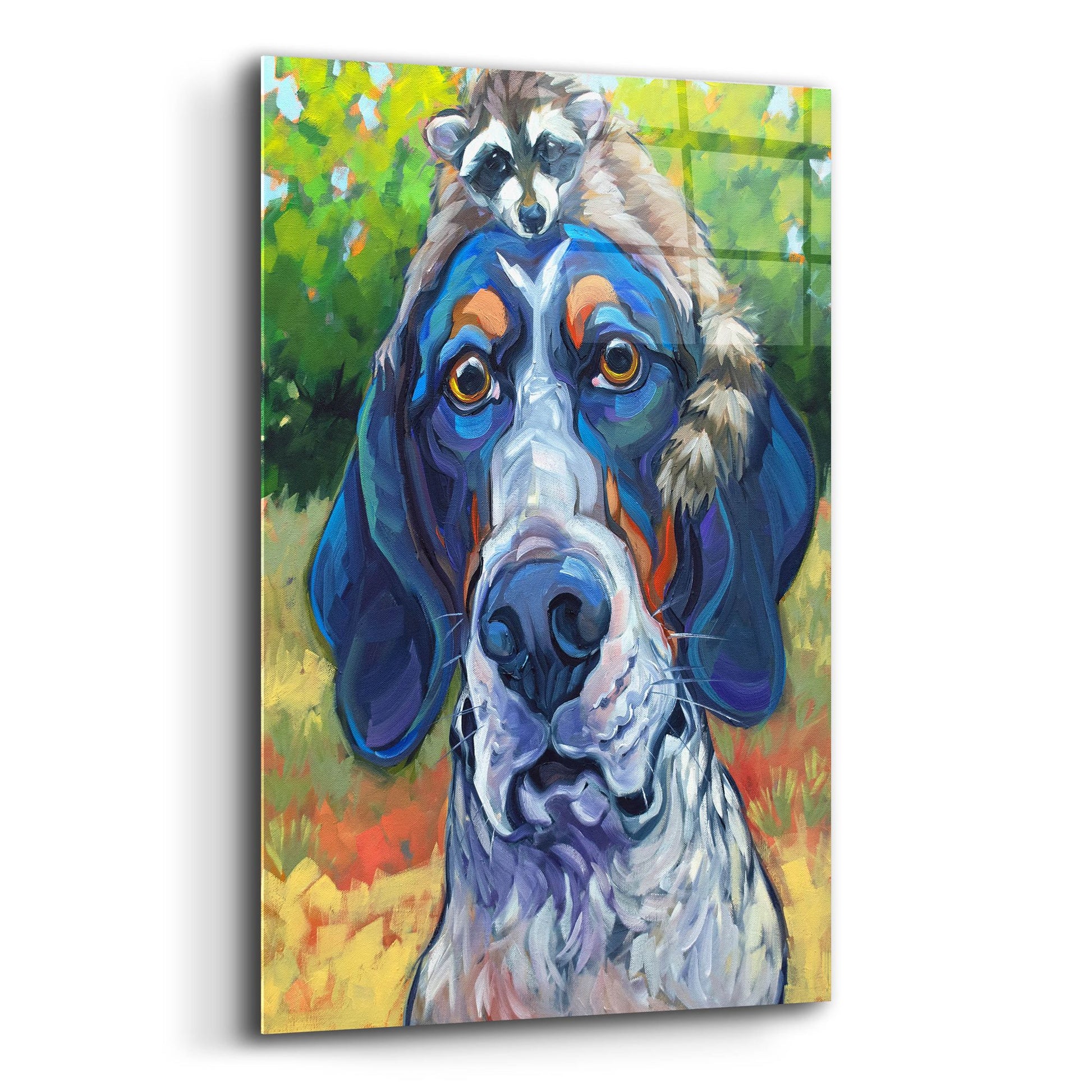 Epic Art 'Coonhound' by CR Townsend, Acrylic Glass Wall Art,12x16