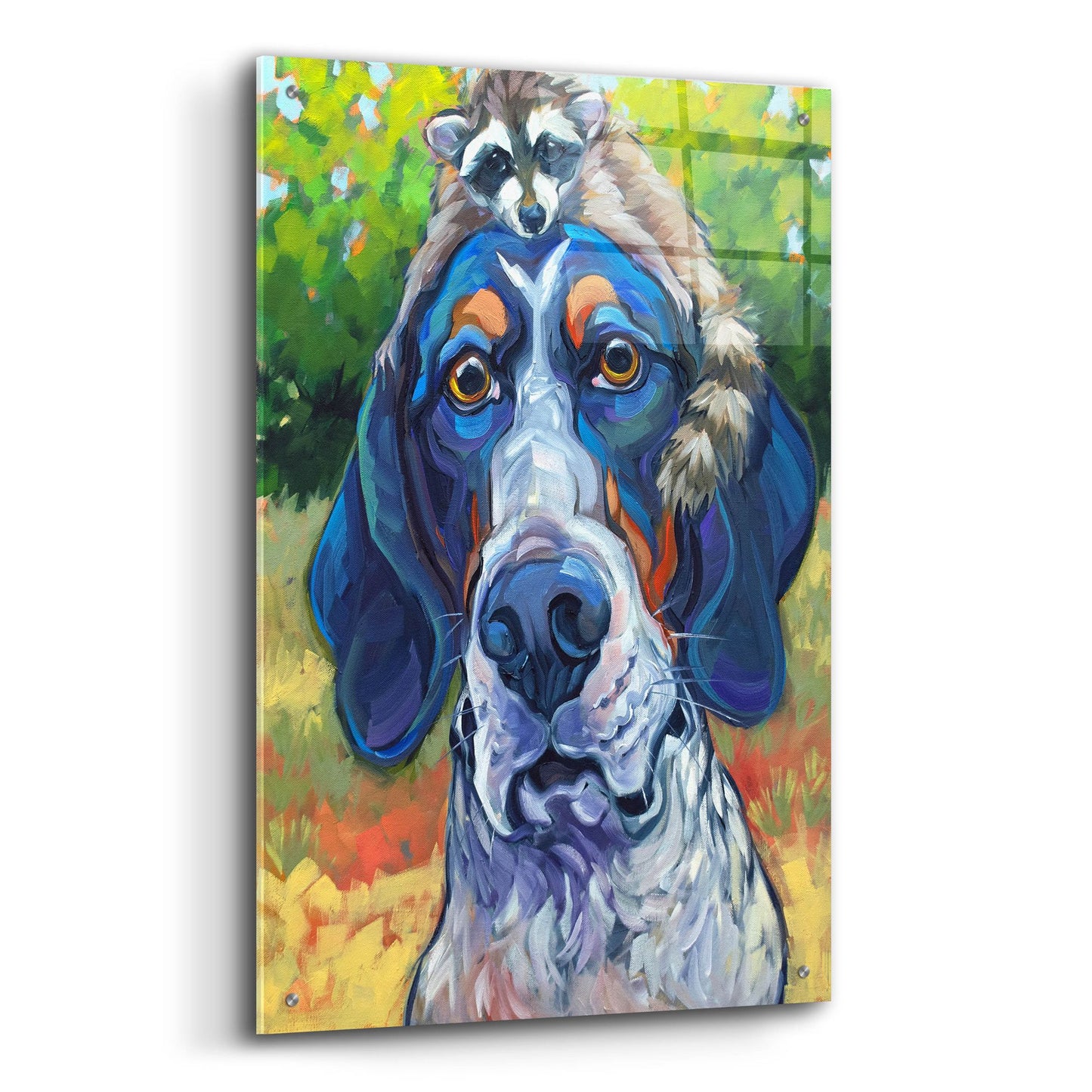 Epic Art 'Coonhound' by CR Townsend, Acrylic Glass Wall Art,24x36