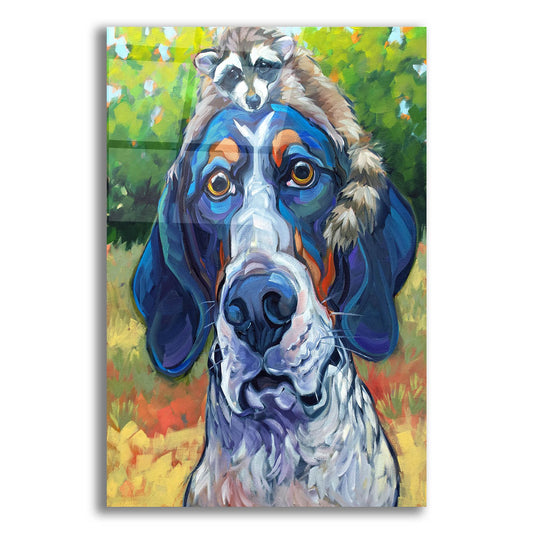 Epic Art 'Coonhound' by CR Townsend, Acrylic Glass Wall Art