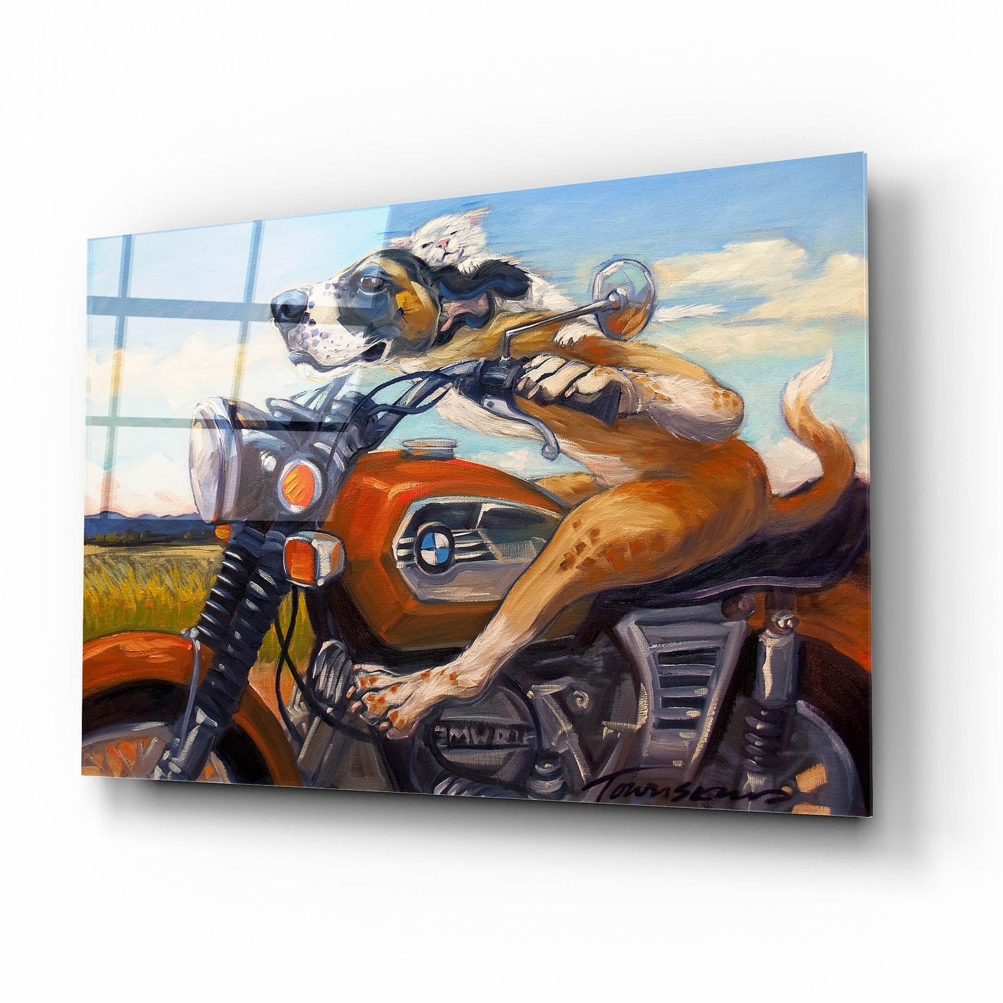 Epic Art 'Fast And Furriest' by CR Townsend, Acrylic Glass Wall Art,16x12