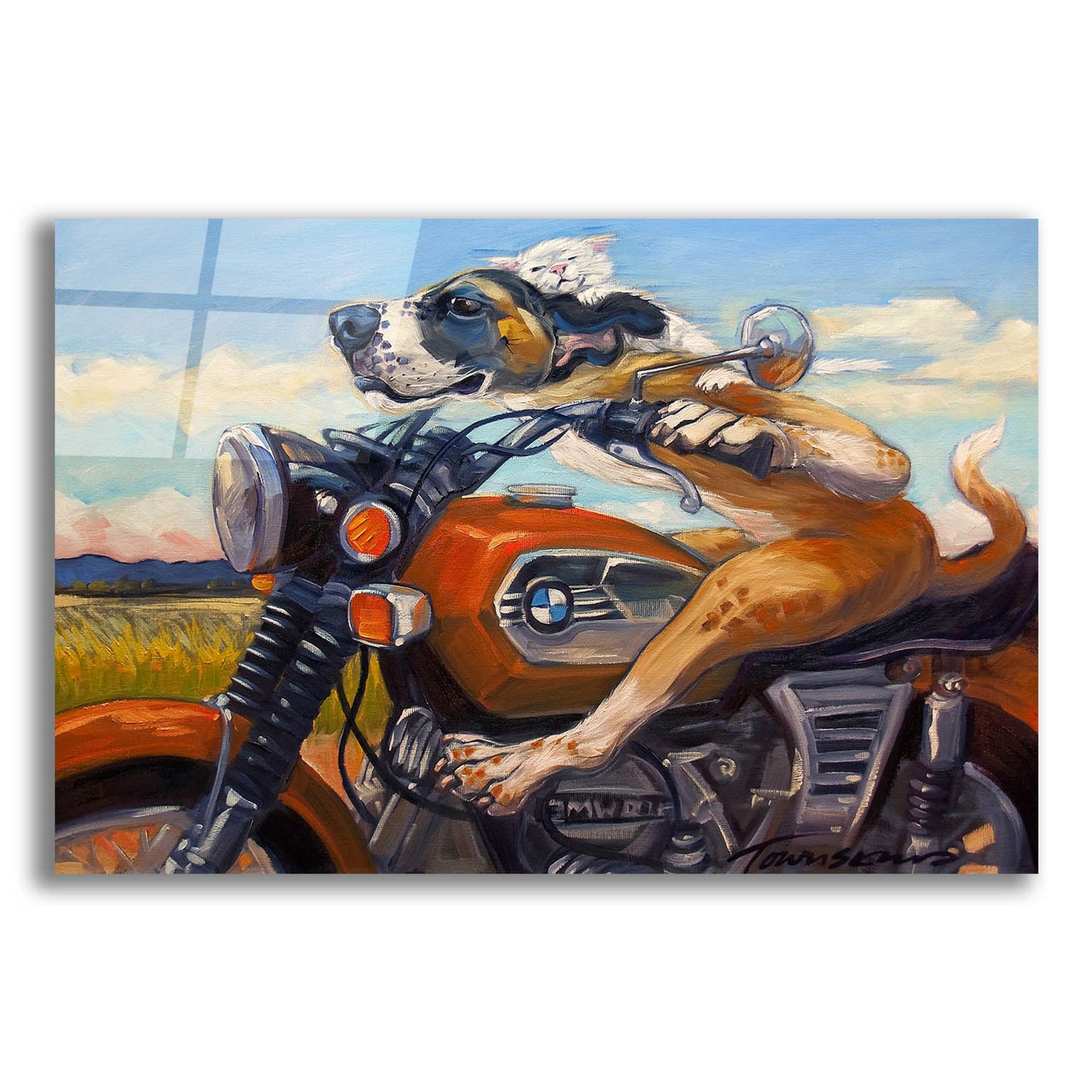 Epic Art 'Fast And Furriest' by CR Townsend, Acrylic Glass Wall Art,24x16