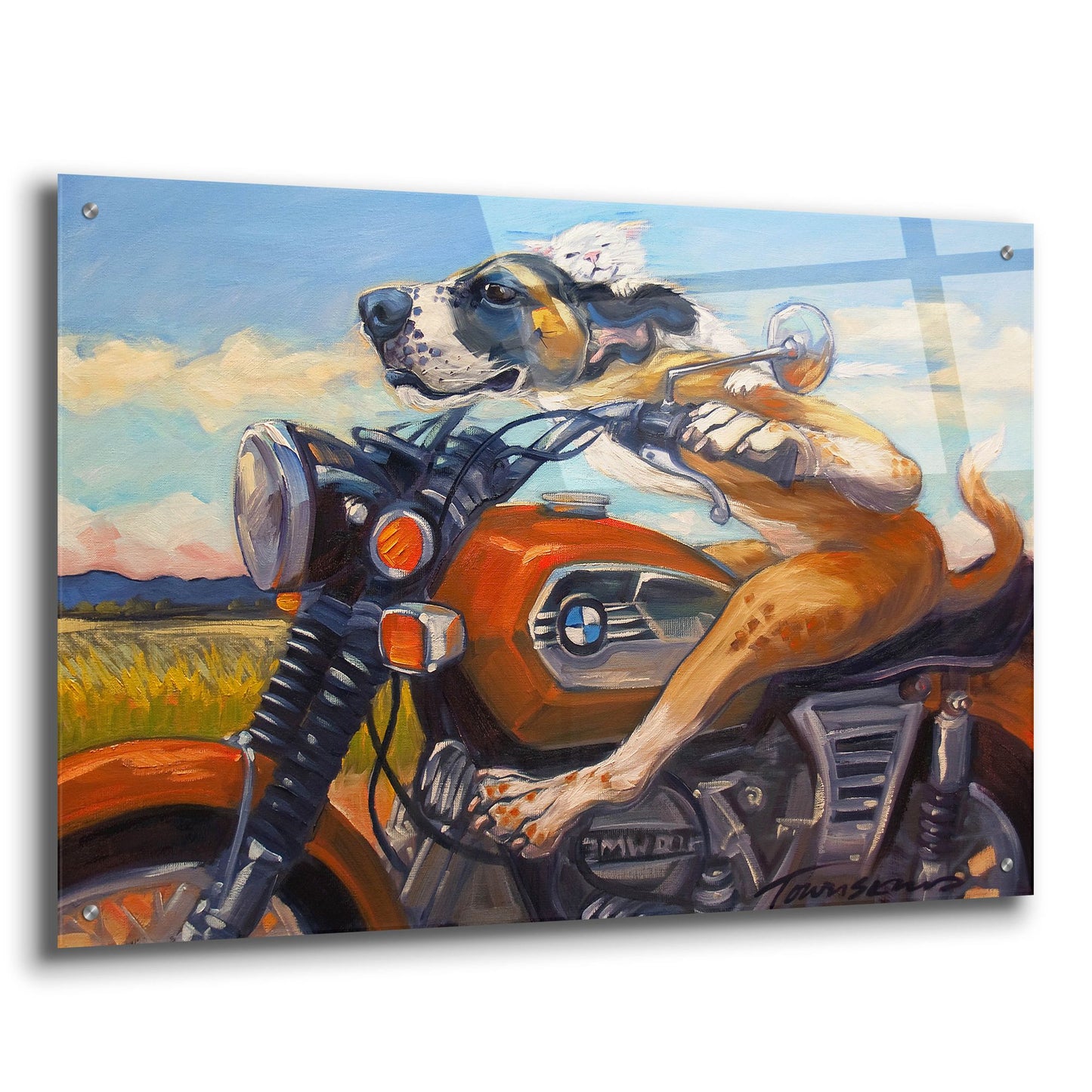 Epic Art 'Fast And Furriest' by CR Townsend, Acrylic Glass Wall Art,36x24