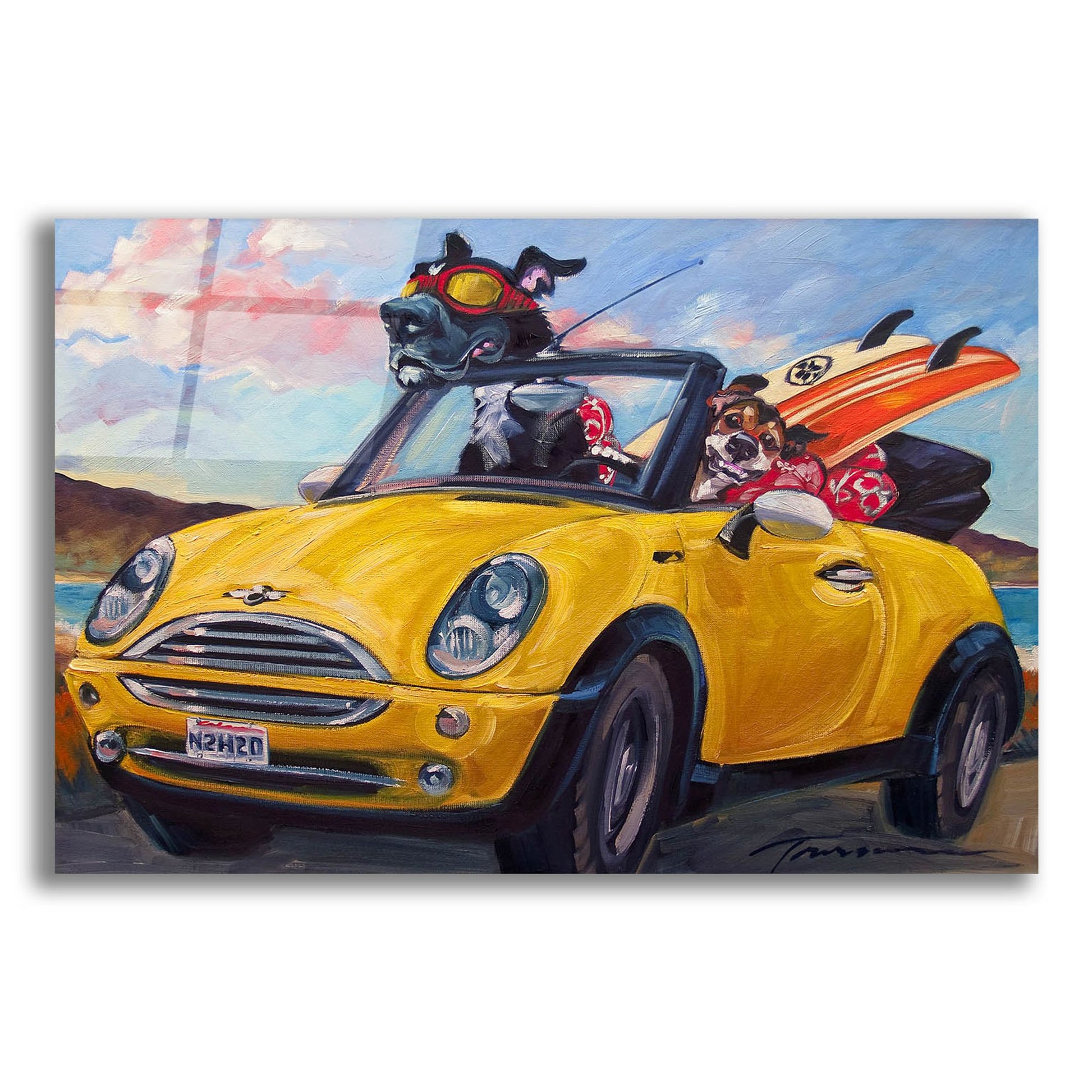Epic Art 'Sunup Surfdogs' by CR Townsend, Acrylic Glass Wall Art,24x16