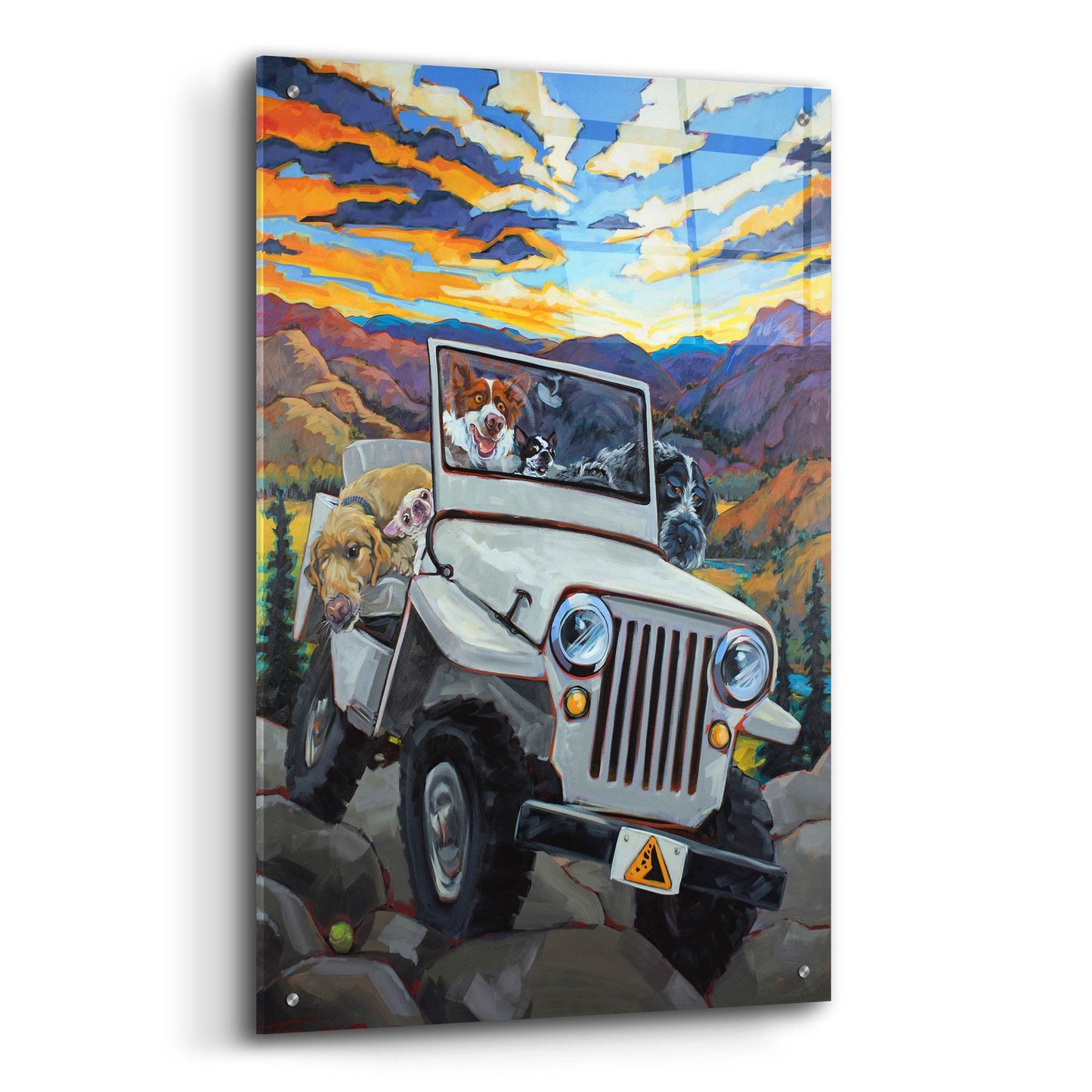 Epic Art 'Watch For Falling Rocks' by CR Townsend, Acrylic Glass Wall Art,24x36