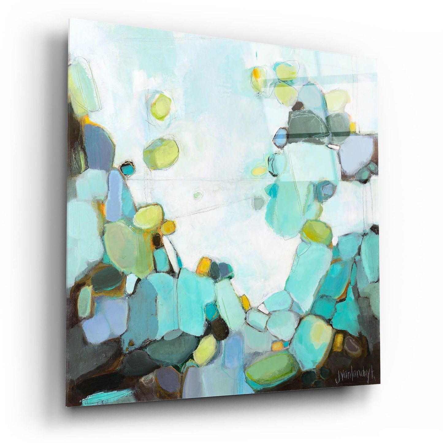 Epic Art 'Freshwater' by Jamie Van Landuyt, Acrylic Glass Wall Art,12x12