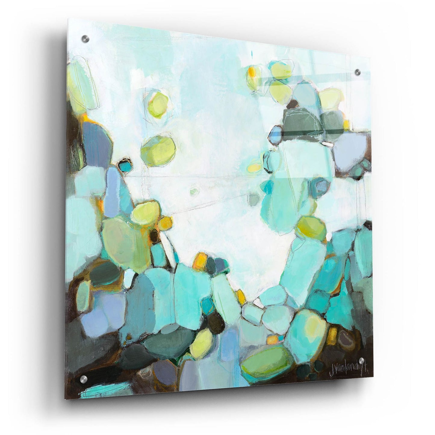 Epic Art 'Freshwater' by Jamie Van Landuyt, Acrylic Glass Wall Art,24x24