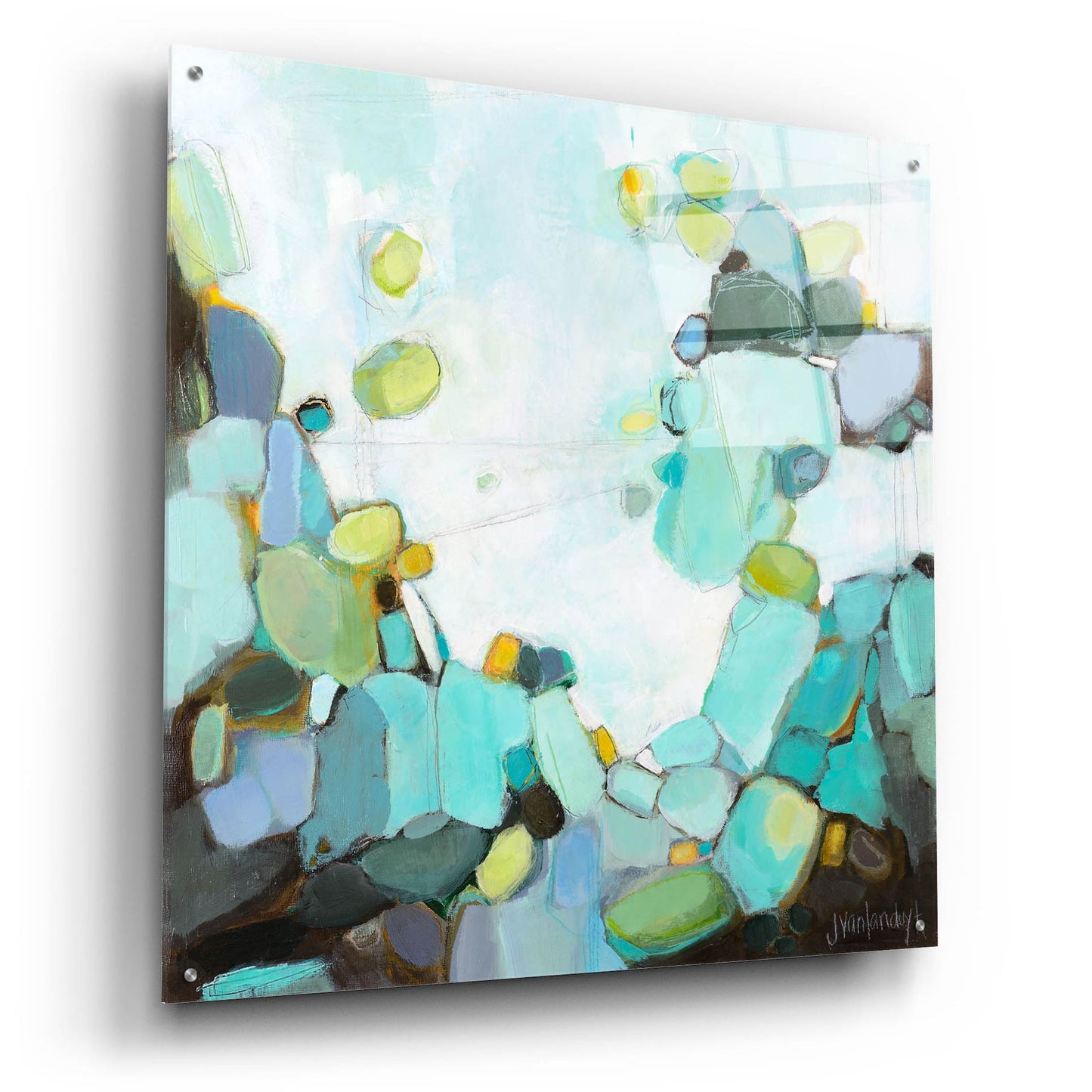 Epic Art 'Freshwater' by Jamie Van Landuyt, Acrylic Glass Wall Art,36x36