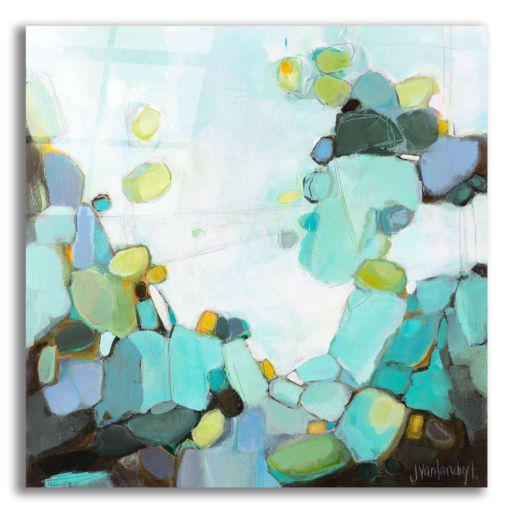 Epic Art 'Freshwater' by Jamie Van Landuyt, Acrylic Glass Wall Art