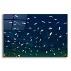 Epic Art 'Boat Conference - Amalfi Coast' by Verne Varona, Acrylic Glass Wall Art