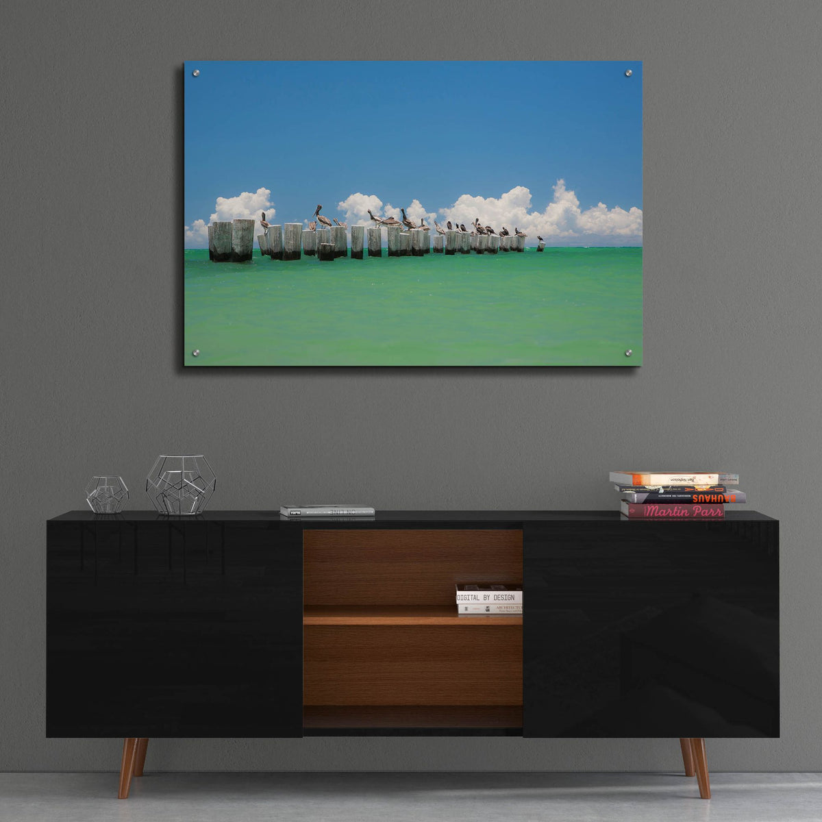 Epic Art 'Gull Conference' by Verne Varona, Acrylic Glass Wall Art,36x24