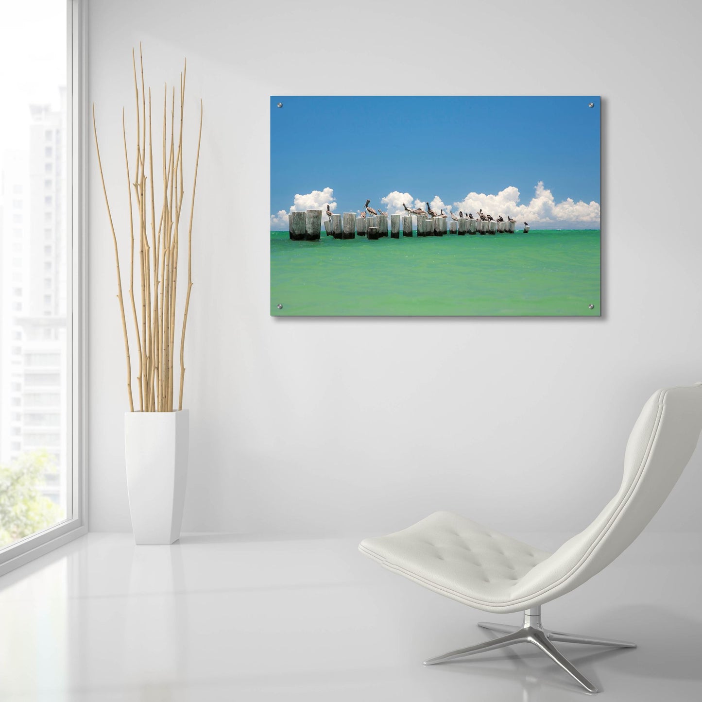 Epic Art 'Gull Conference' by Verne Varona, Acrylic Glass Wall Art,36x24