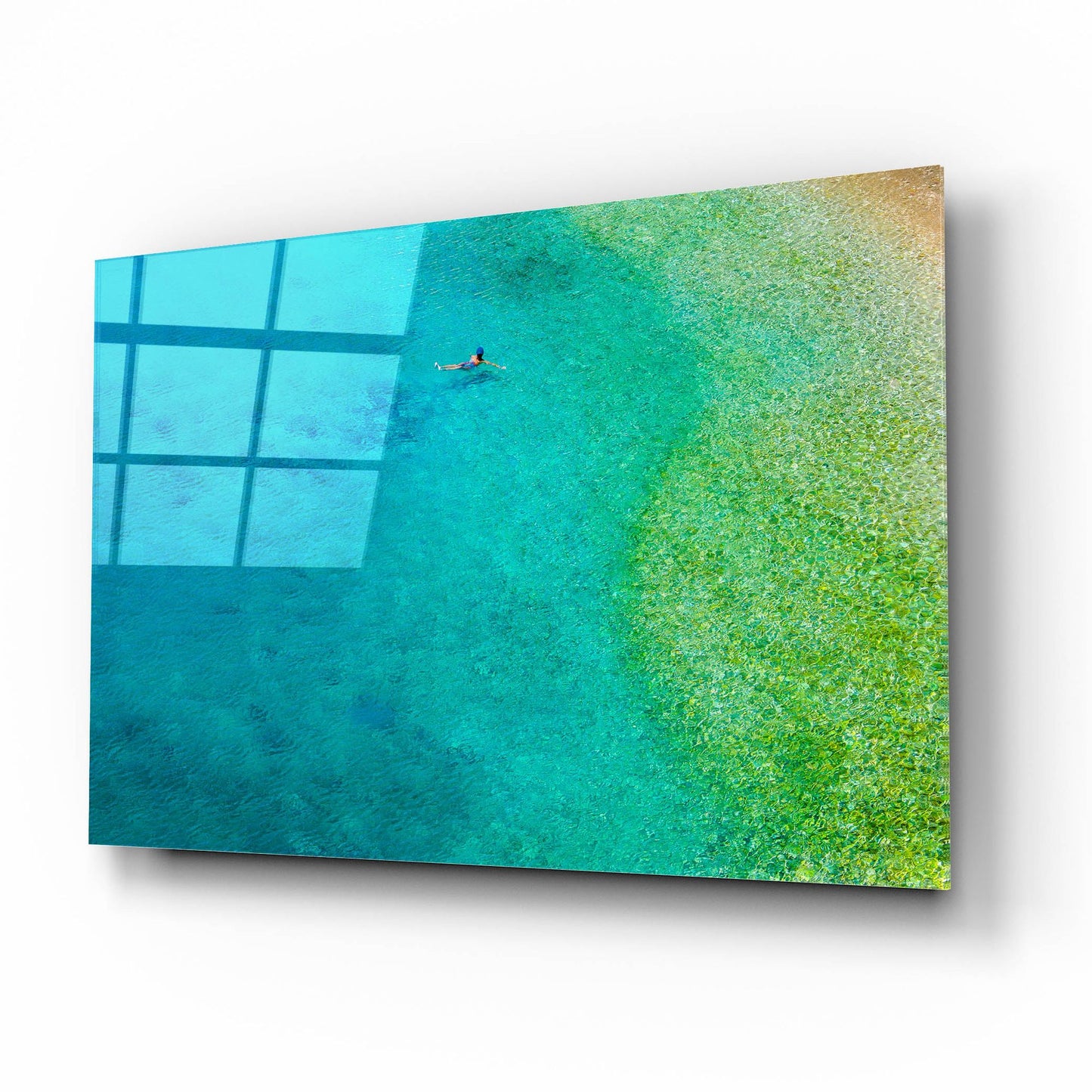 Epic Art 'Solo Swim' by Verne Varona, Acrylic Glass Wall Art,16x12