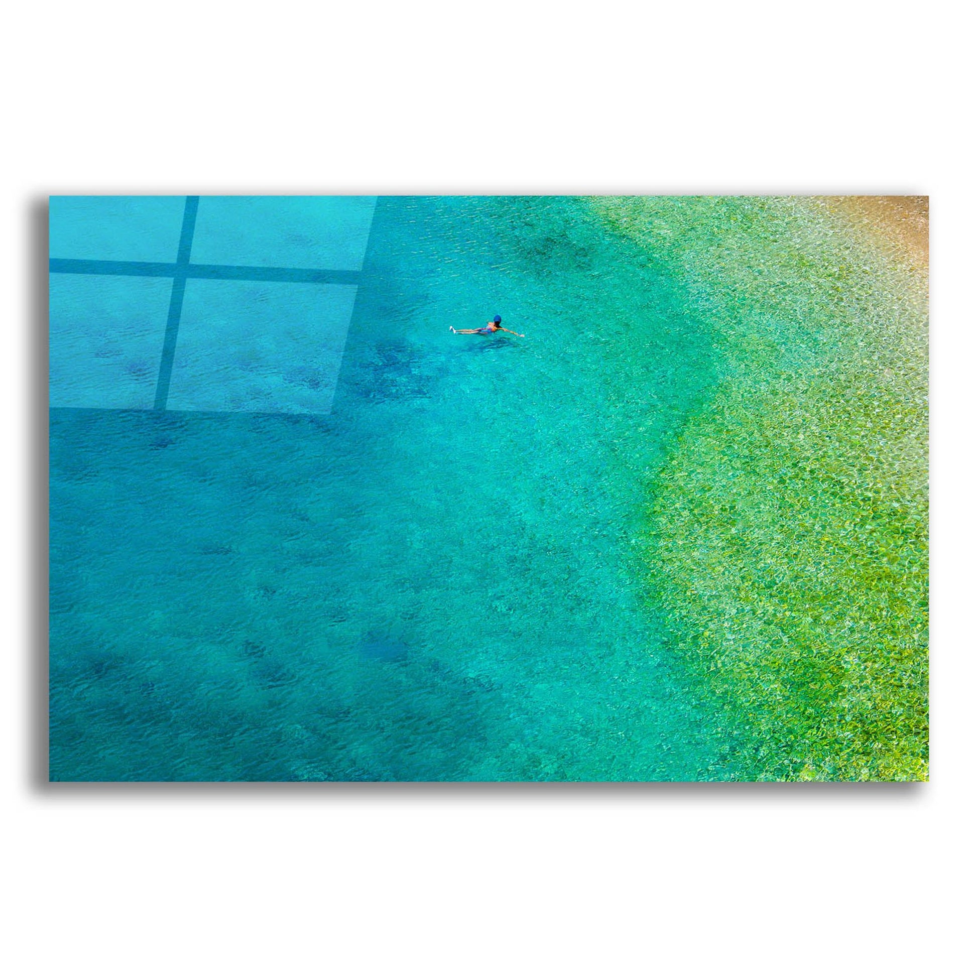 Epic Art 'Solo Swim' by Verne Varona, Acrylic Glass Wall Art,24x16