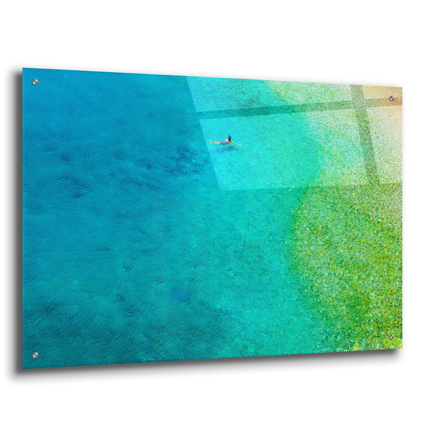 Epic Art 'Solo Swim' by Verne Varona, Acrylic Glass Wall Art,36x24