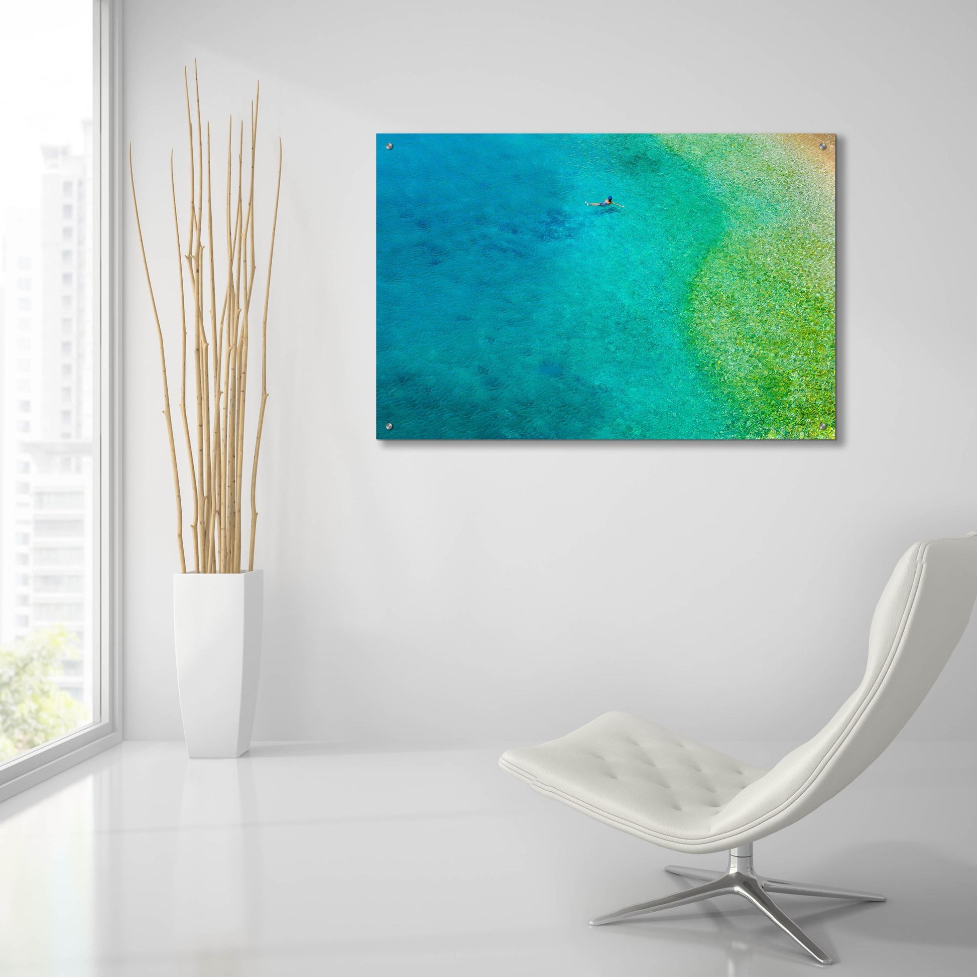 Epic Art 'Solo Swim' by Verne Varona, Acrylic Glass Wall Art,36x24