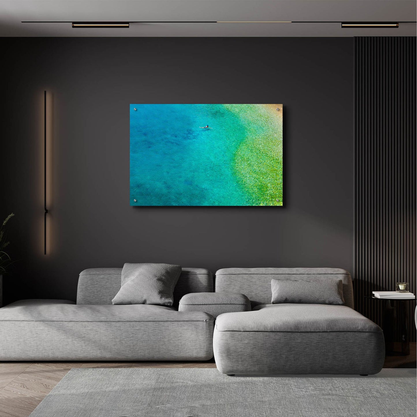 Epic Art 'Solo Swim' by Verne Varona, Acrylic Glass Wall Art,36x24