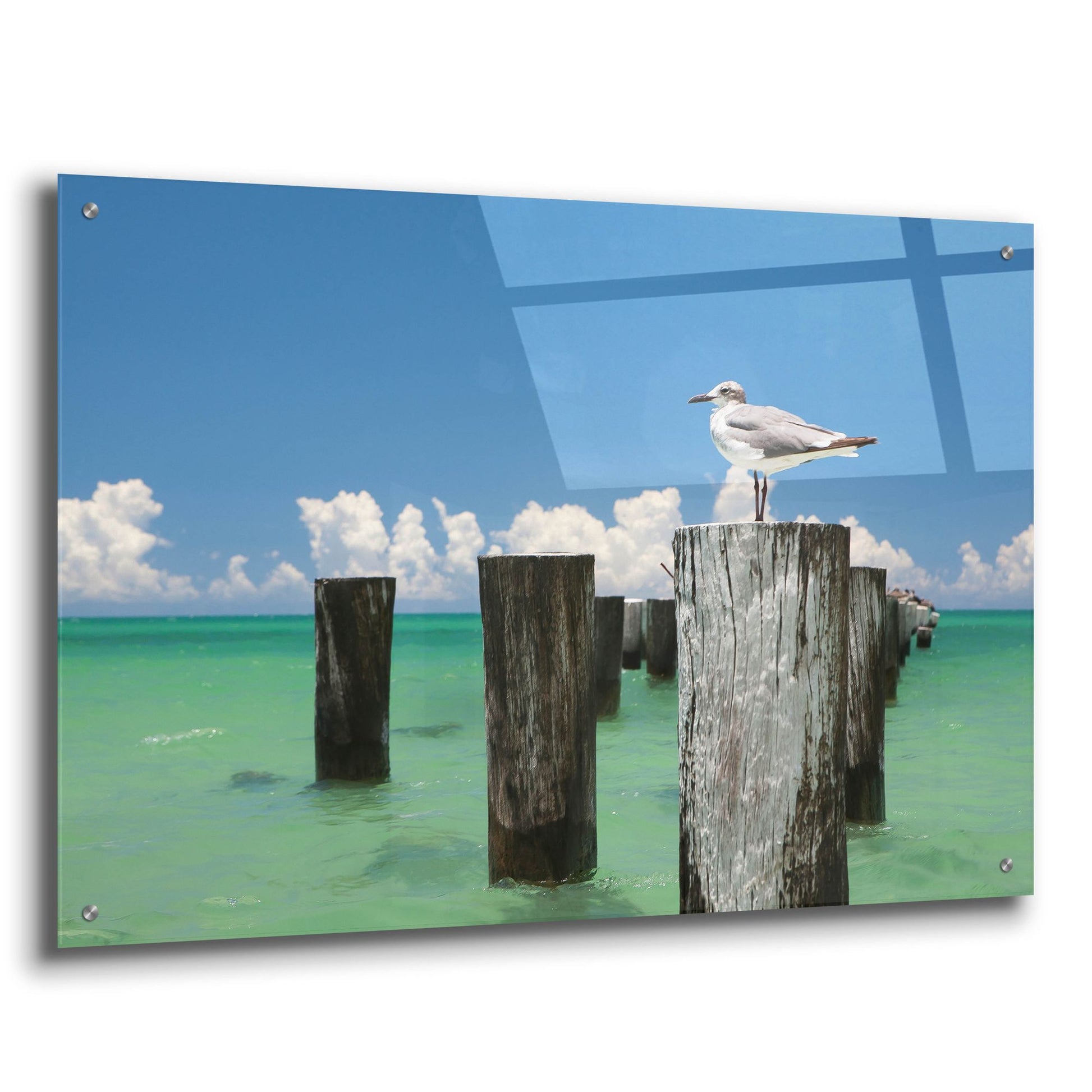 Epic Art 'Welcome To Naples Florida' by Verne Varona, Acrylic Glass Wall Art,36x24