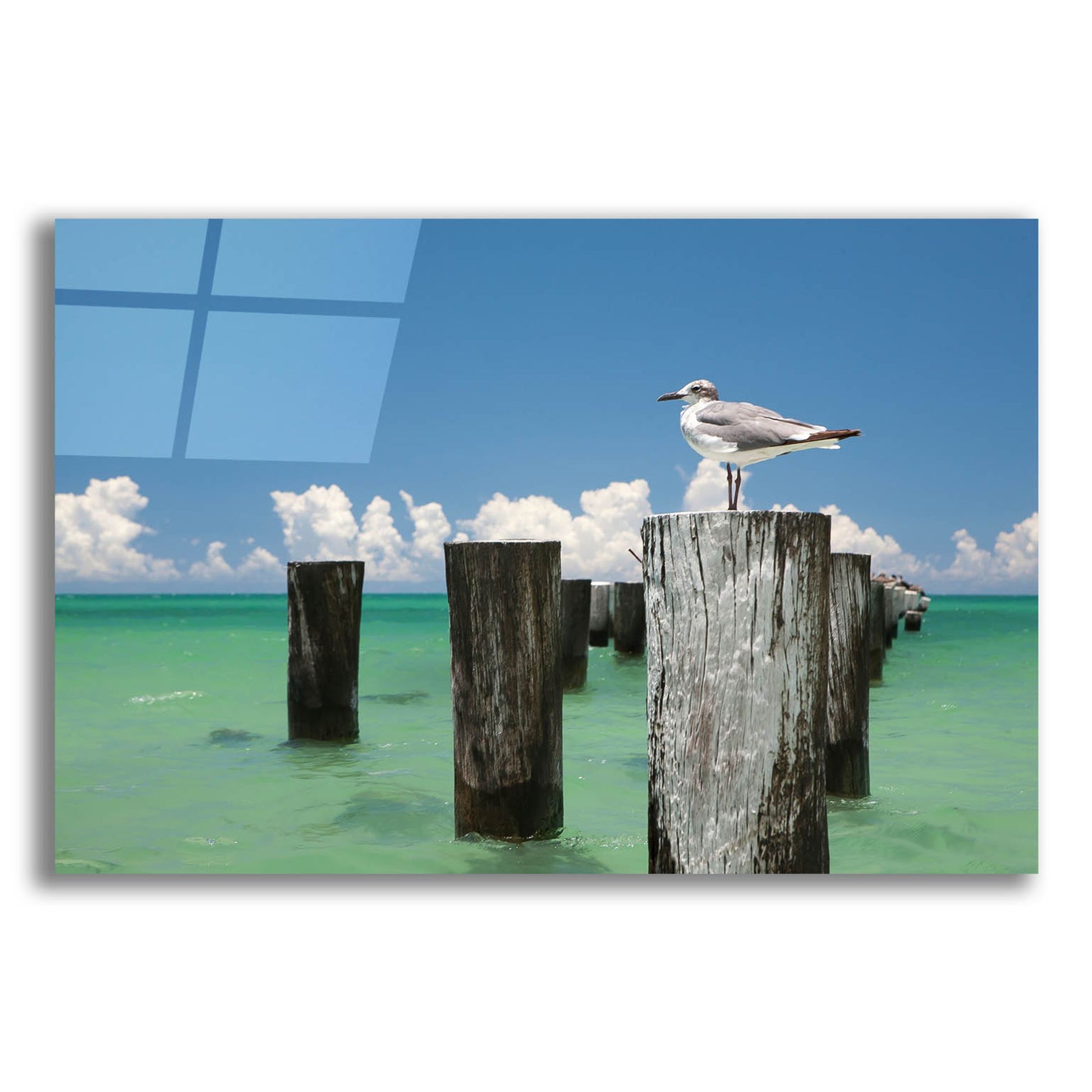 Epic Art 'Welcome To Naples Florida' by Verne Varona, Acrylic Glass Wall Art