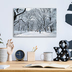 Epic Art 'White Wonder' by Verne Varona, Acrylic Glass Wall Art,16x12