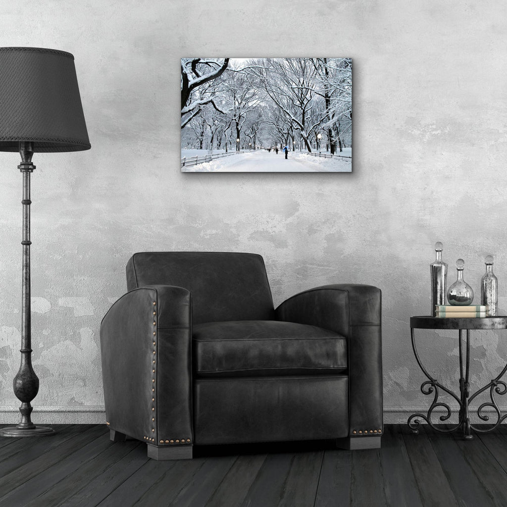 Epic Art 'White Wonder' by Verne Varona, Acrylic Glass Wall Art,24x16