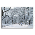 Epic Art 'White Wonder' by Verne Varona, Acrylic Glass Wall Art