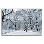 Epic Art 'White Wonder' by Verne Varona, Acrylic Glass Wall Art