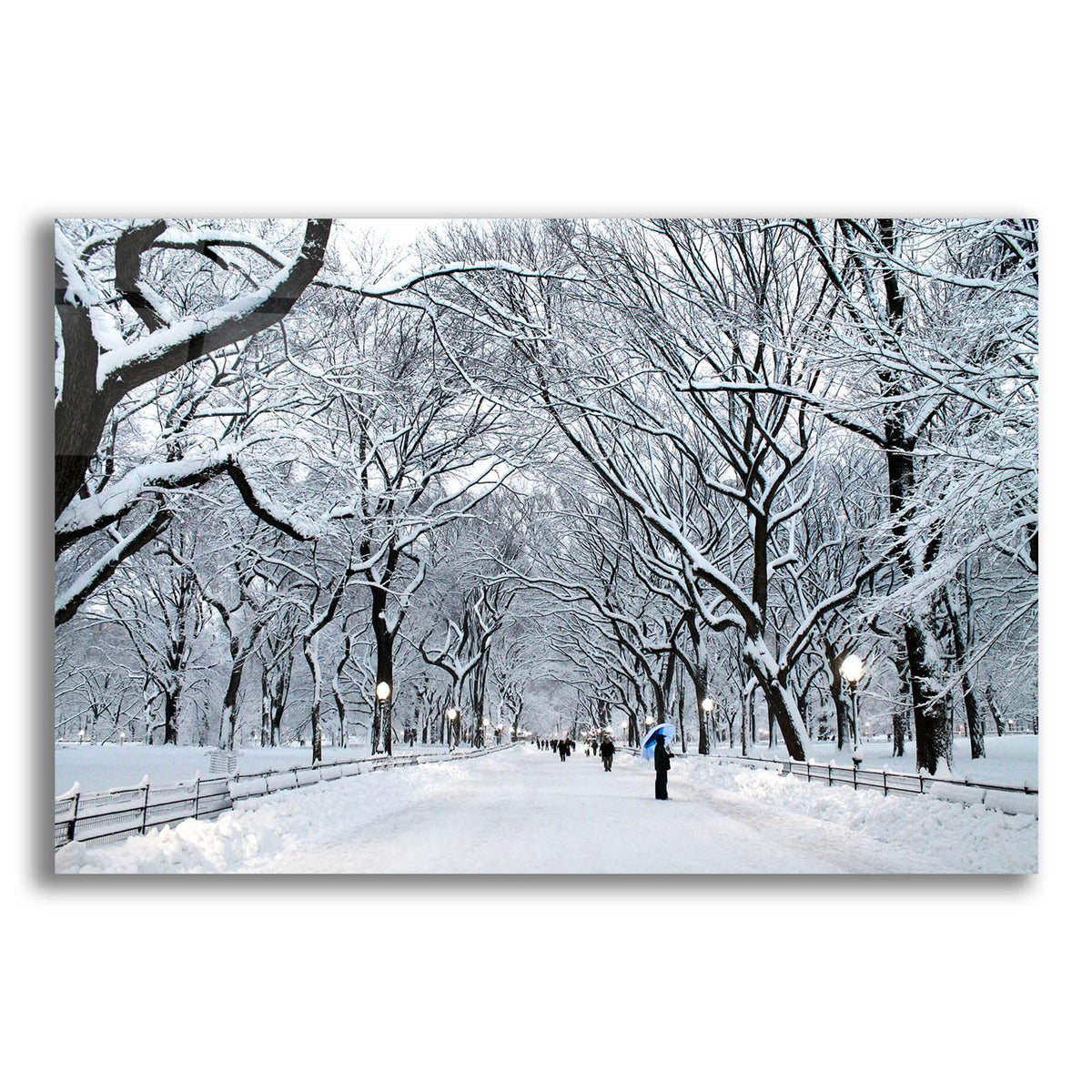 Epic Art 'White Wonder' by Verne Varona, Acrylic Glass Wall Art