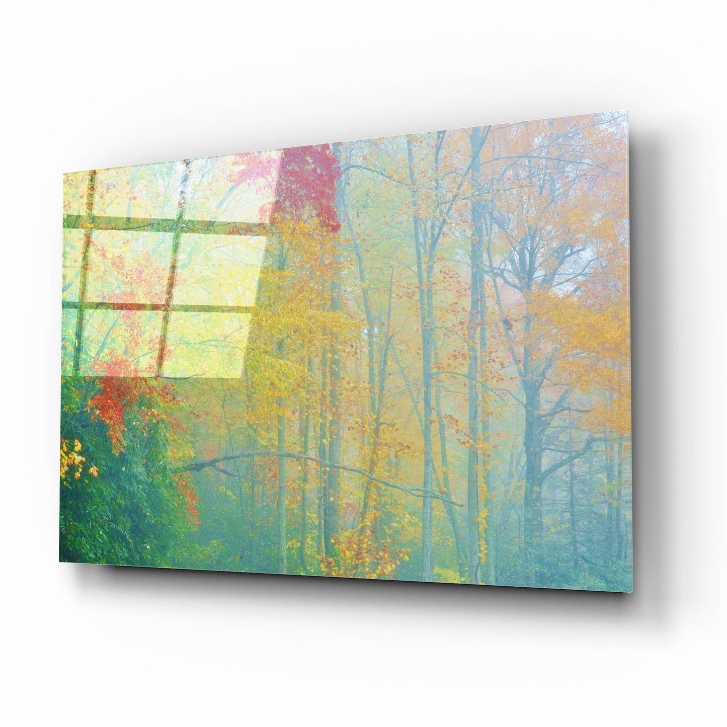 Epic Art 'Autumn'S Palette' by Steve Vaughn, Acrylic Glass Wall Art,16x12