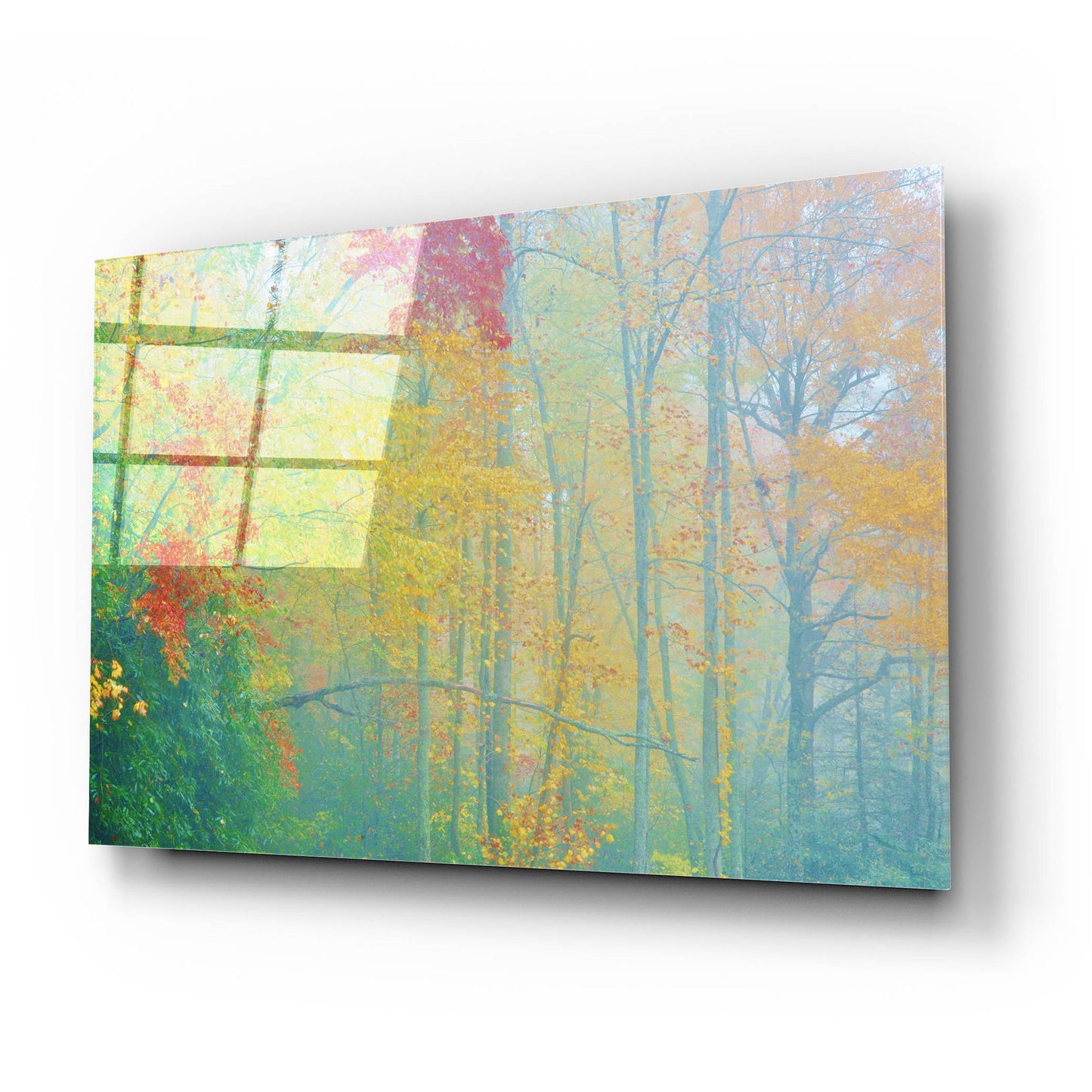 Epic Art 'Autumn'S Palette' by Steve Vaughn, Acrylic Glass Wall Art,24x16