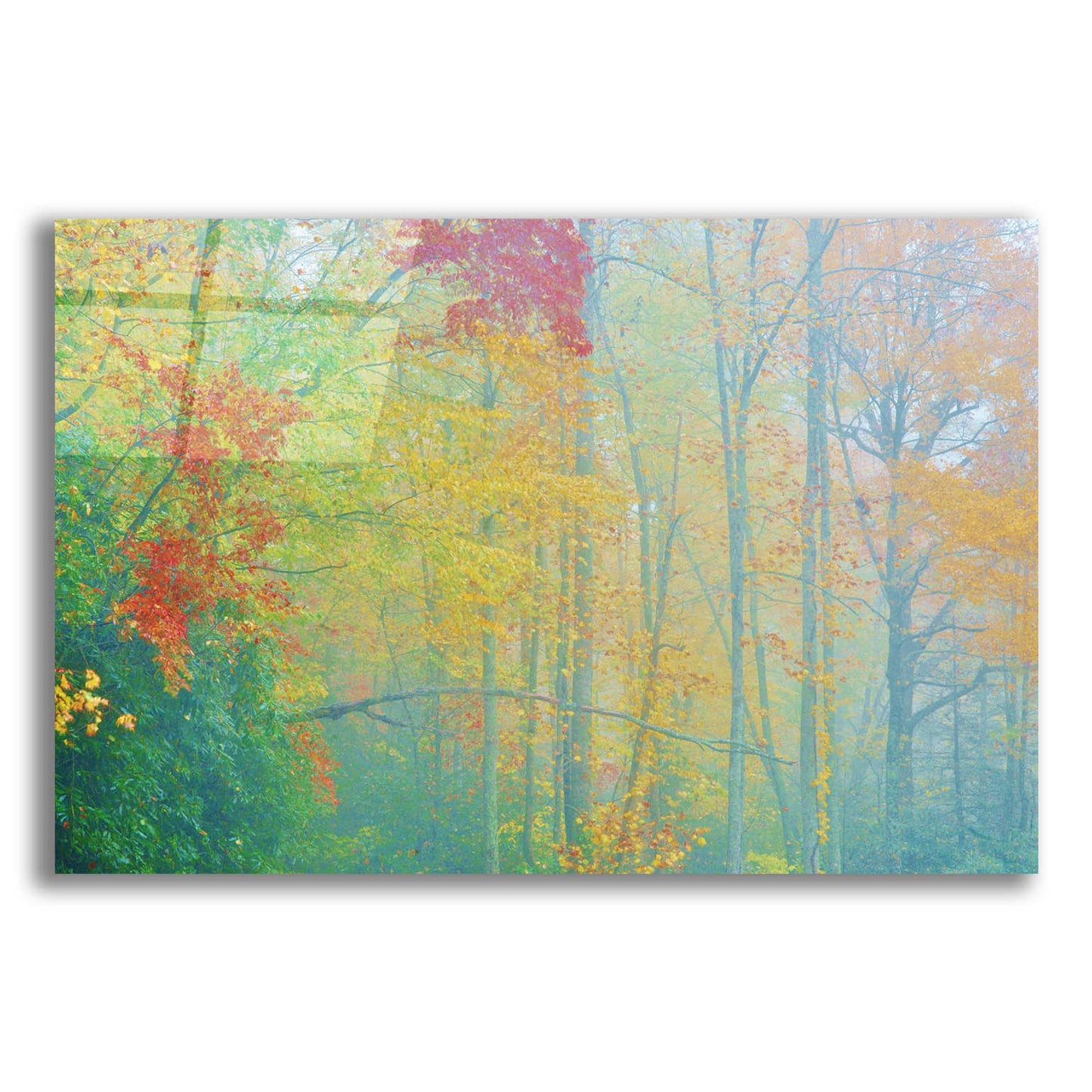 Epic Art 'Autumn'S Palette' by Steve Vaughn, Acrylic Glass Wall Art,24x16