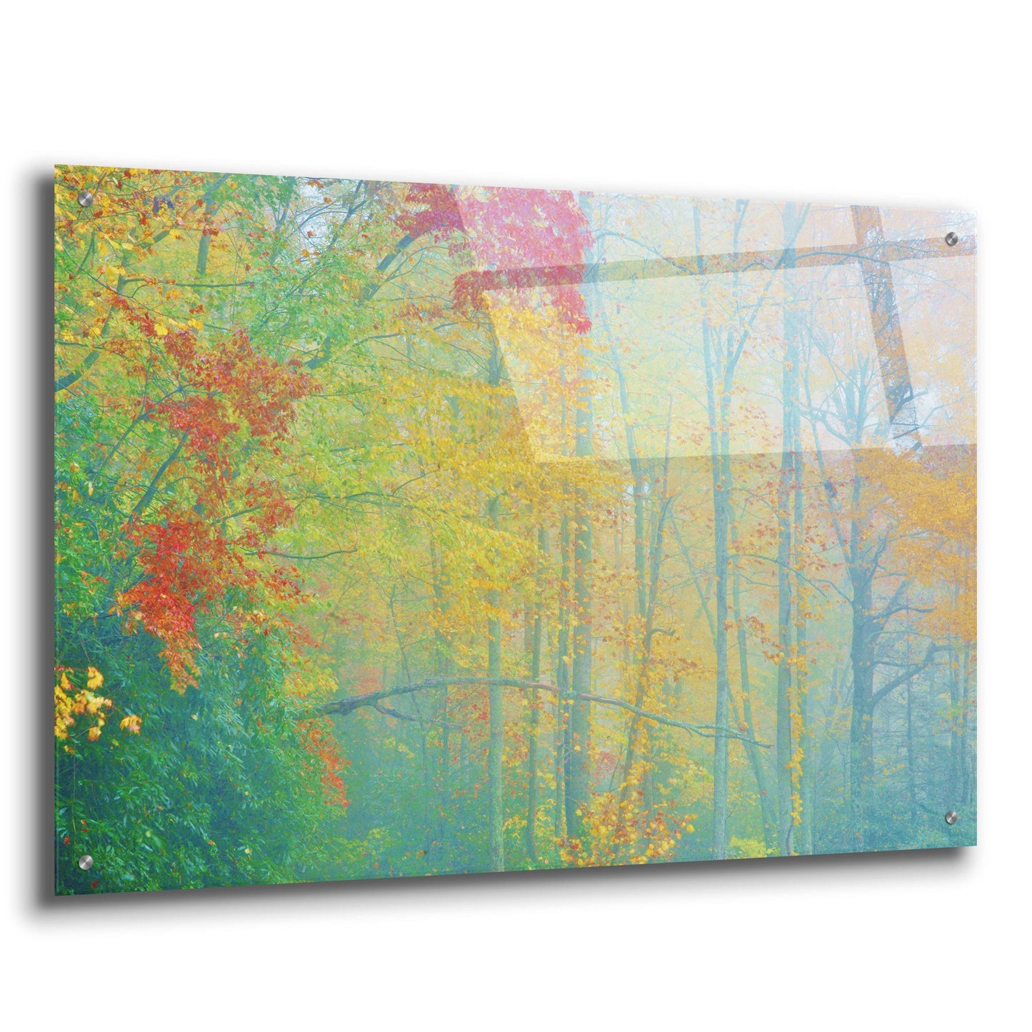 Epic Art 'Autumn'S Palette' by Steve Vaughn, Acrylic Glass Wall Art,36x24