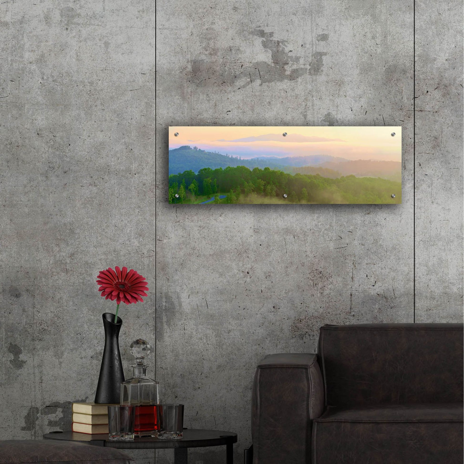 Epic Art 'Brasstown Valley Overlook' by Steve Vaughn, Acrylic Glass Wall Art,36x12