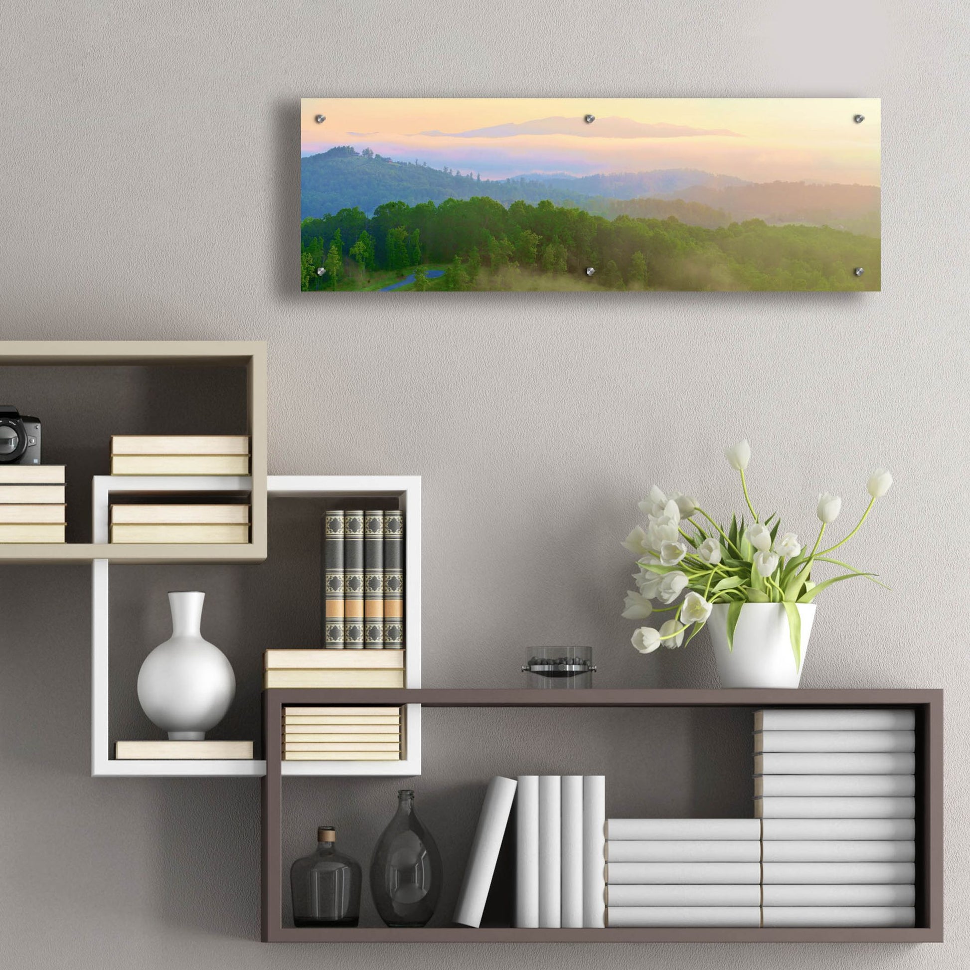 Epic Art 'Brasstown Valley Overlook' by Steve Vaughn, Acrylic Glass Wall Art,36x12