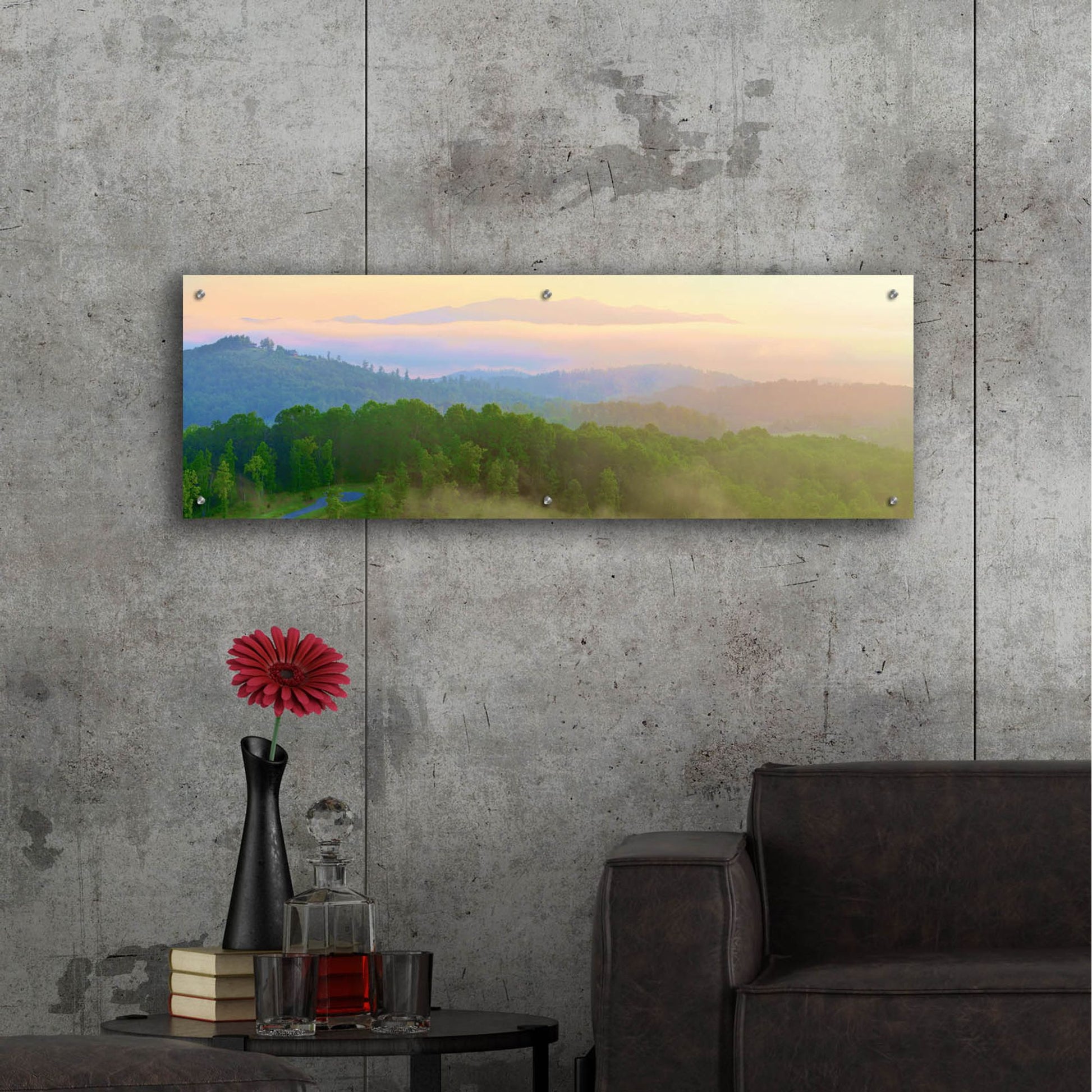 Epic Art 'Brasstown Valley Overlook' by Steve Vaughn, Acrylic Glass Wall Art,48x16