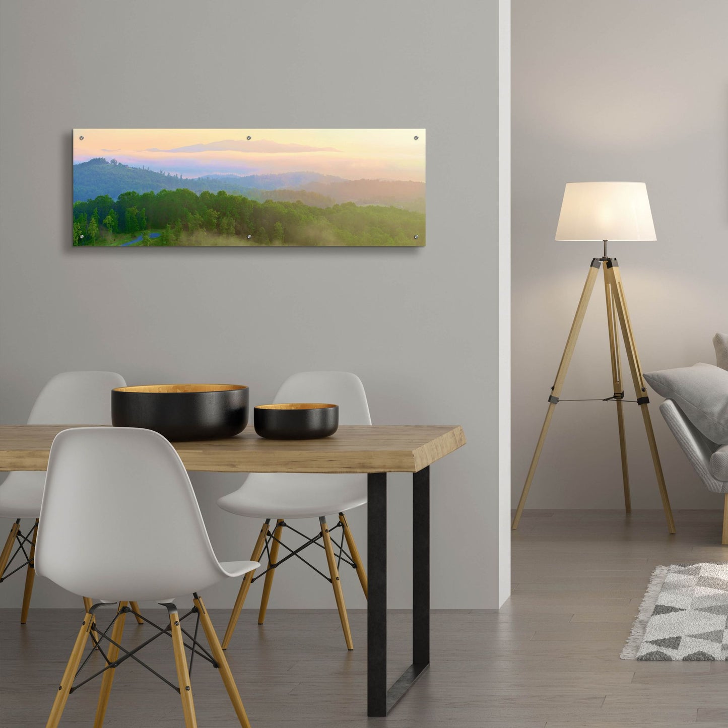 Epic Art 'Brasstown Valley Overlook' by Steve Vaughn, Acrylic Glass Wall Art,48x16