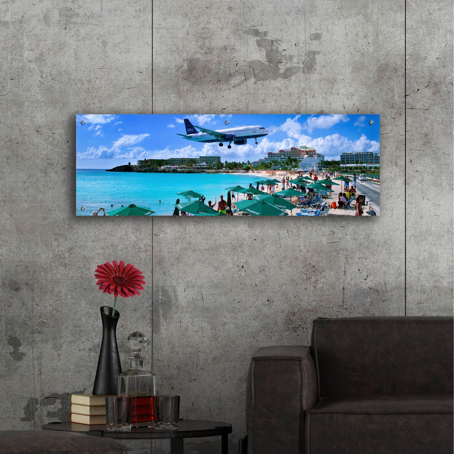 Epic Art 'Happy Landings On St Maarten' by Steve Vaughn, Acrylic Glass Wall Art,48x16