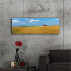 Epic Art 'Heartland' by Steve Vaughn, Acrylic Glass Wall Art,48x16
