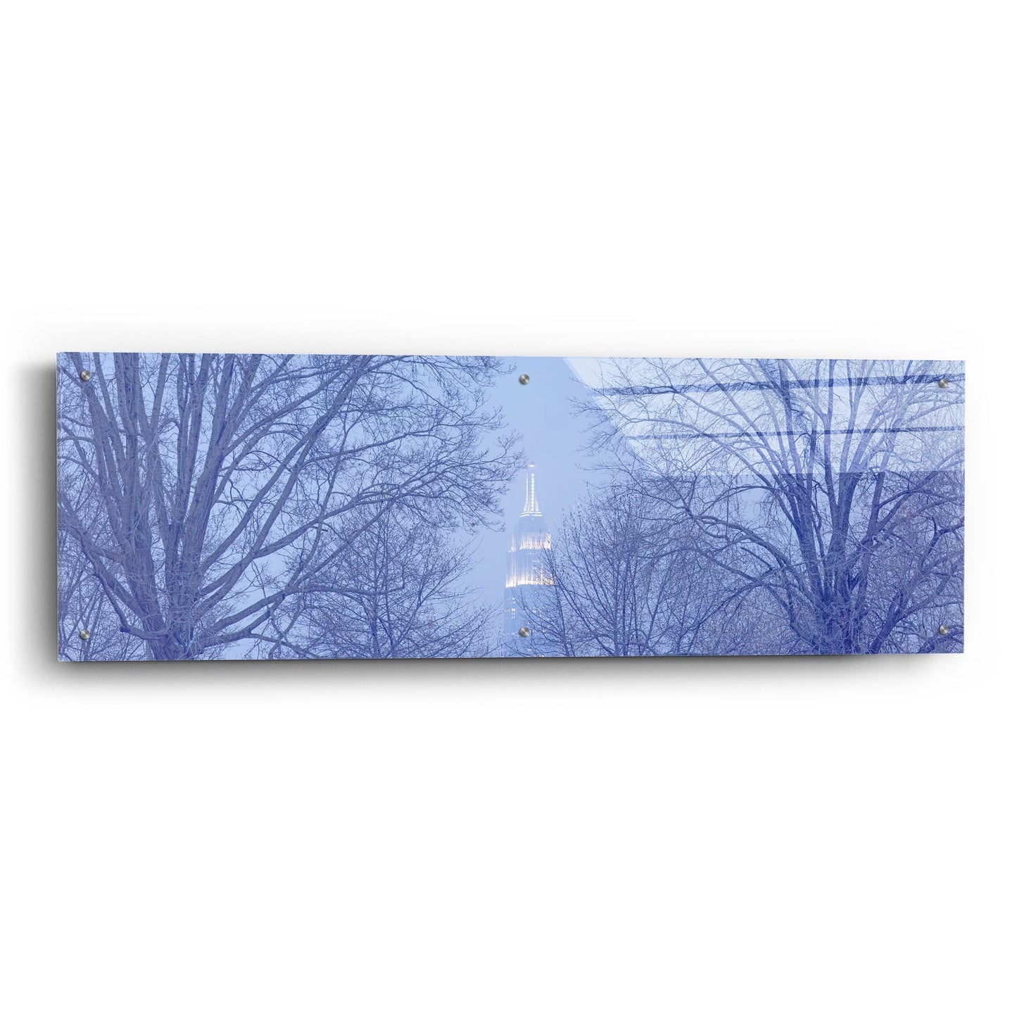 Epic Art 'Nyc Winter' by Steve Vaughn, Acrylic Glass Wall Art,48x16