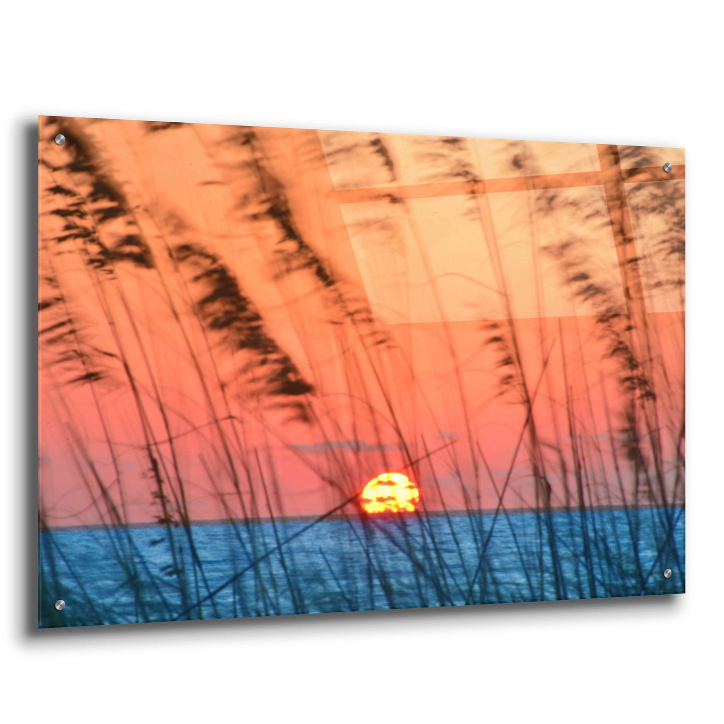 Epic Art 'Sun Dance' by Steve Vaughn, Acrylic Glass Wall Art,36x24