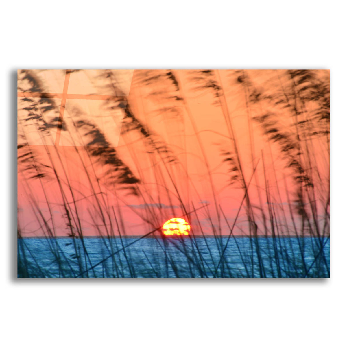 Epic Art 'Sun Dance' by Steve Vaughn, Acrylic Glass Wall Art