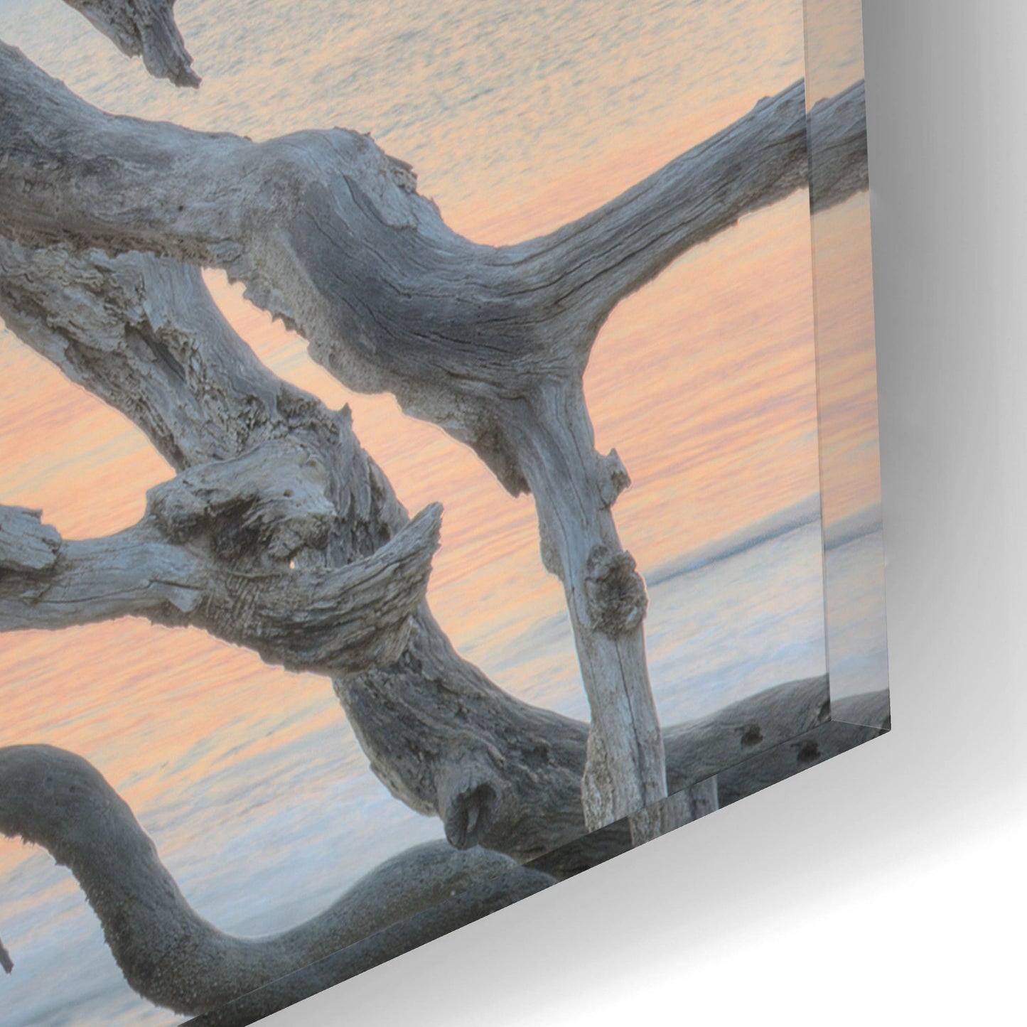 Epic Art 'Sunrise Sentinel' by Steve Vaughn, Acrylic Glass Wall Art,16x12