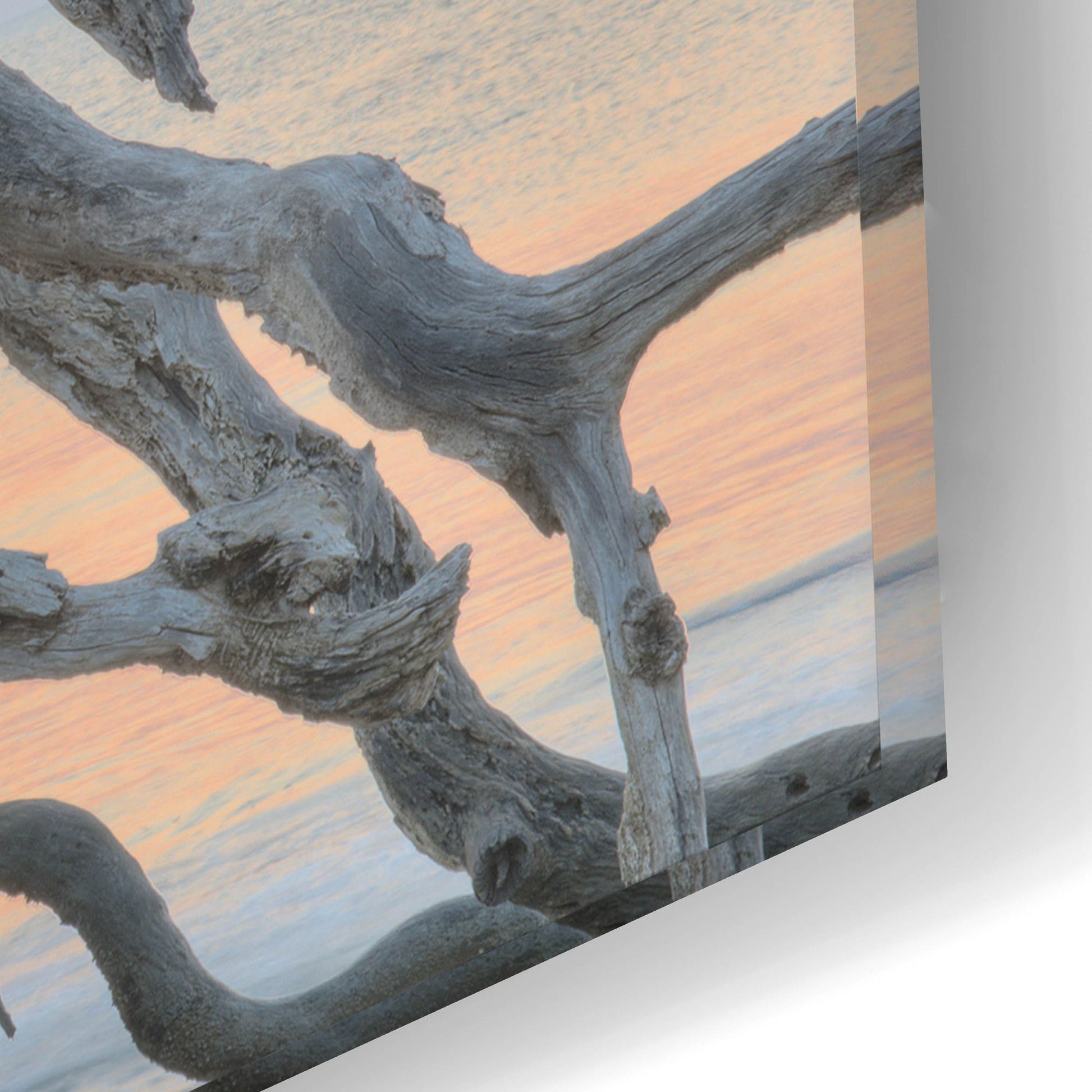 Epic Art 'Sunrise Sentinel' by Steve Vaughn, Acrylic Glass Wall Art,24x16
