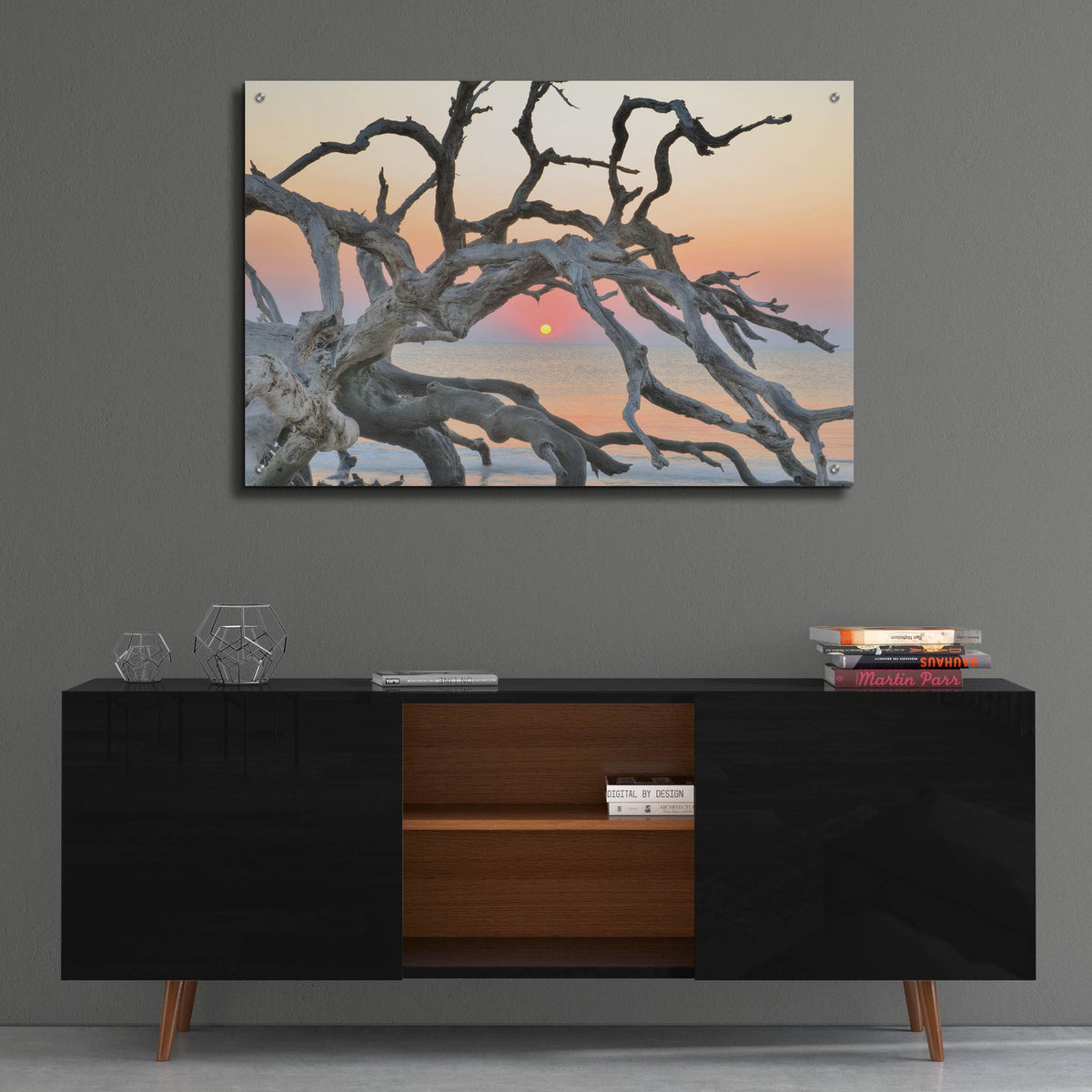 Epic Art 'Sunrise Sentinel' by Steve Vaughn, Acrylic Glass Wall Art,36x24