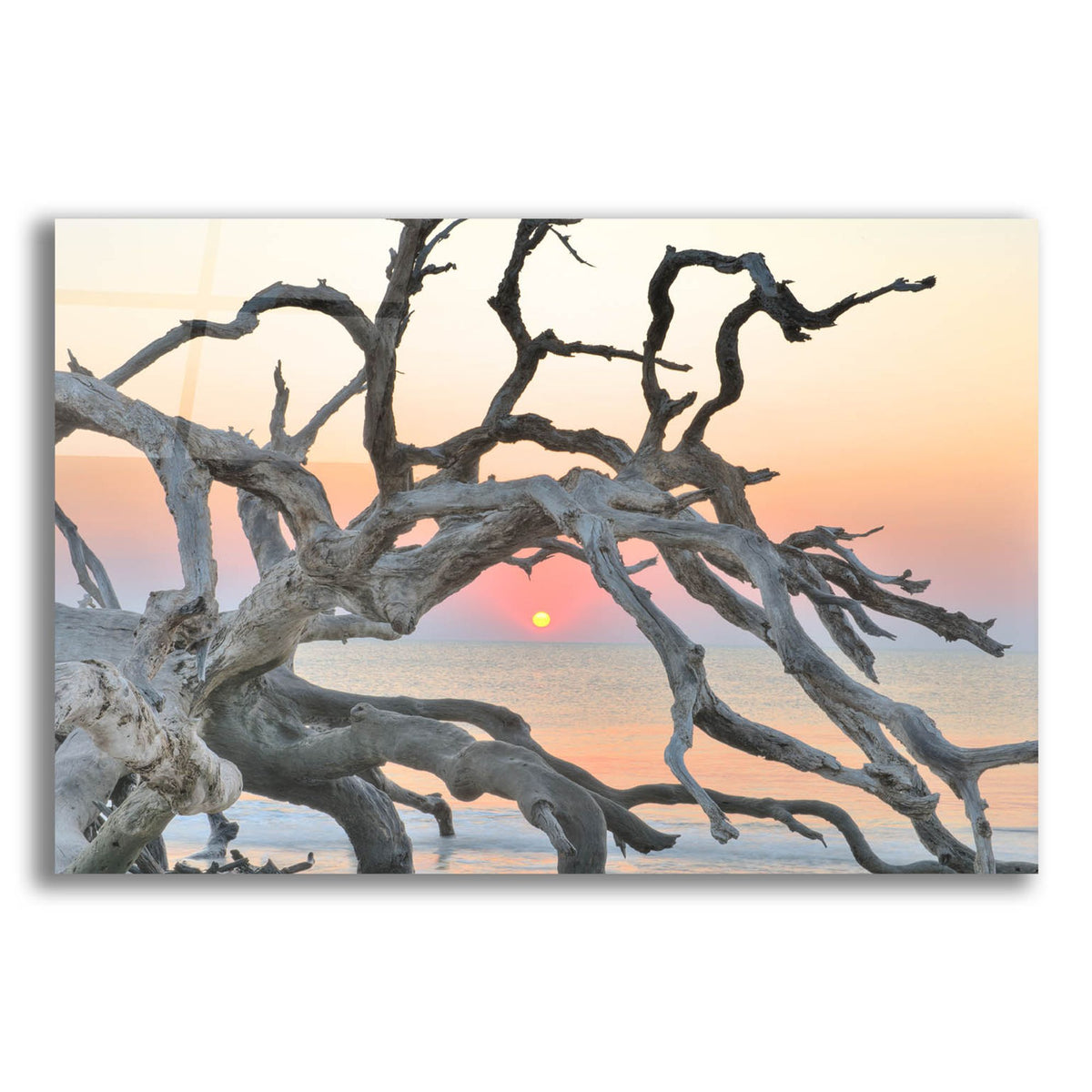Epic Art 'Sunrise Sentinel' by Steve Vaughn, Acrylic Glass Wall Art