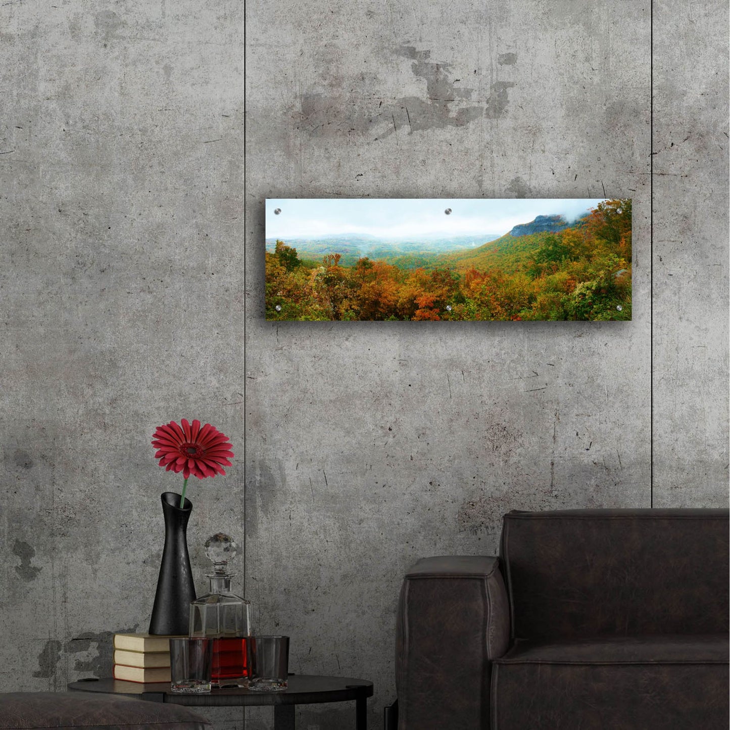 Epic Art 'Whiteside Overlook' by Steve Vaughn, Acrylic Glass Wall Art,36x12