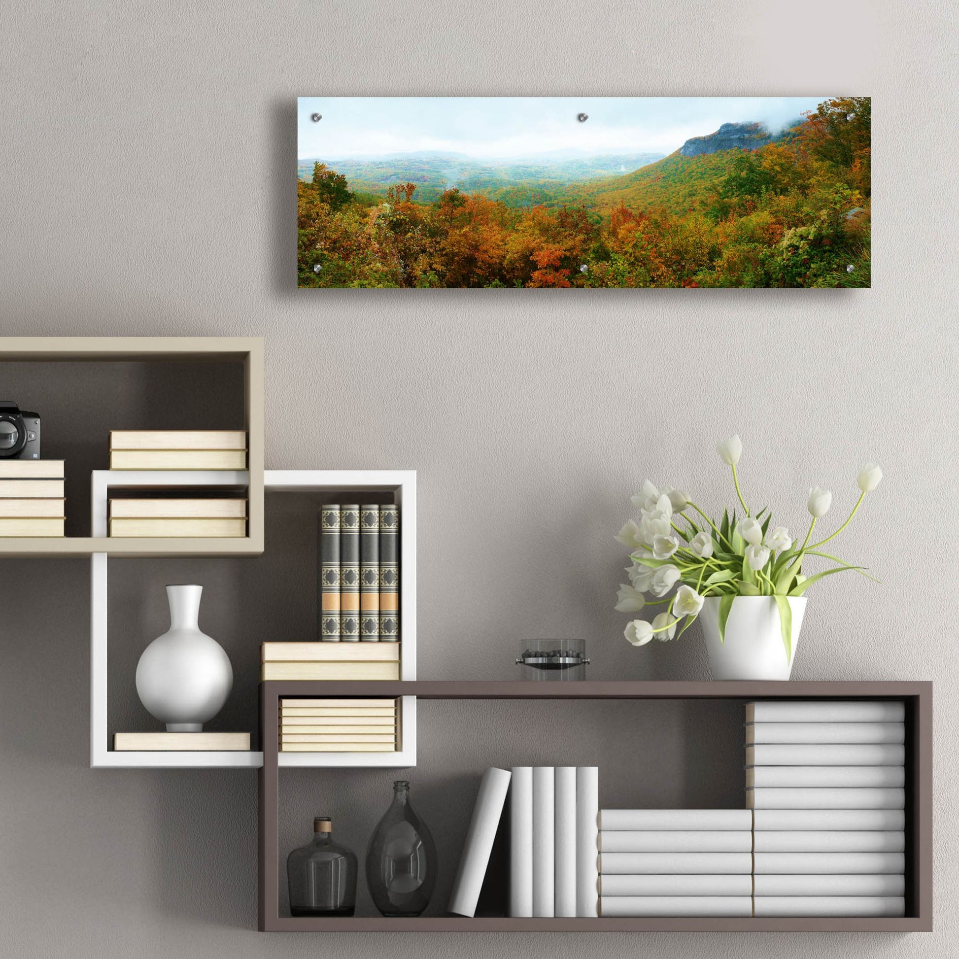 Epic Art 'Whiteside Overlook' by Steve Vaughn, Acrylic Glass Wall Art,36x12