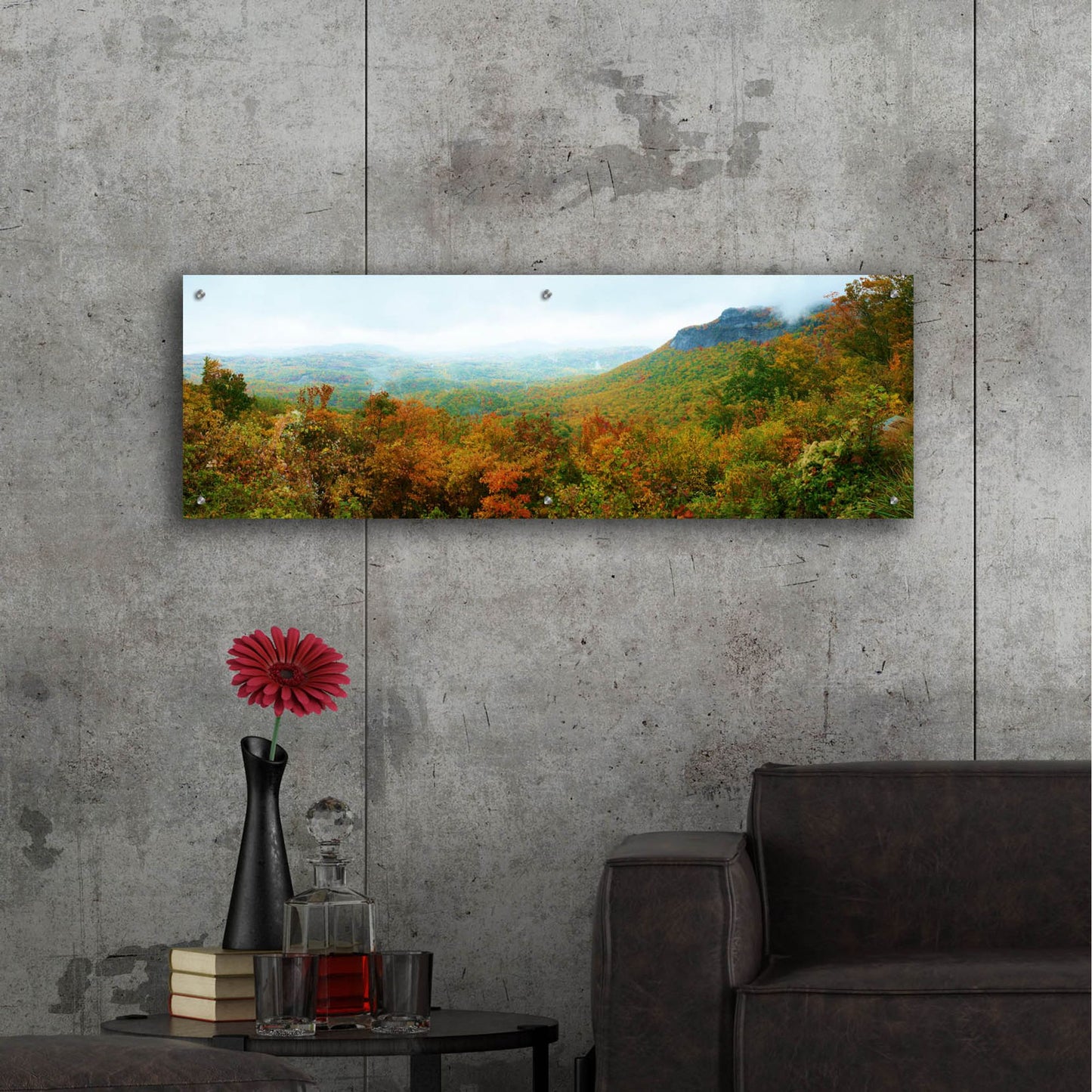 Epic Art 'Whiteside Overlook' by Steve Vaughn, Acrylic Glass Wall Art,48x16