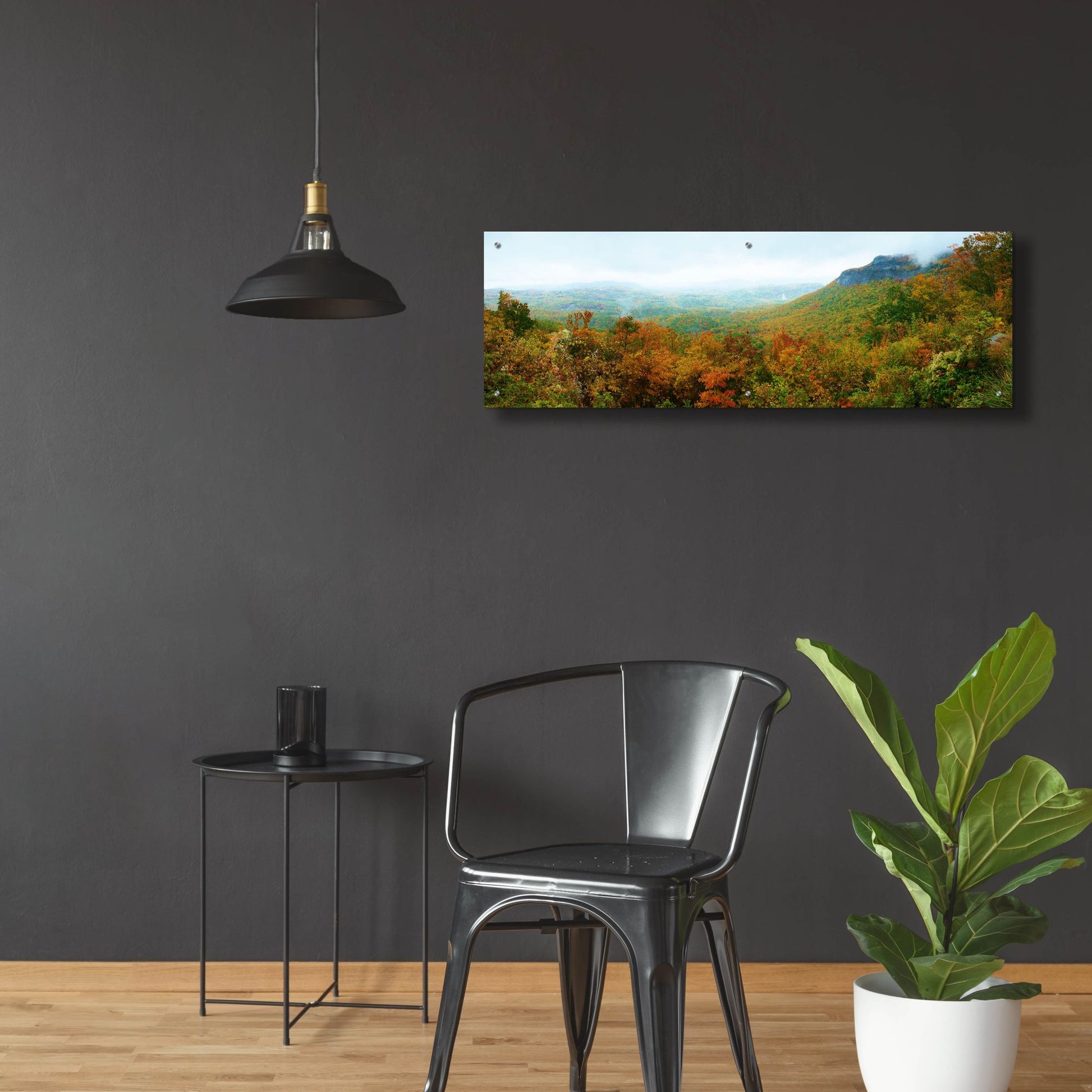 Epic Art 'Whiteside Overlook' by Steve Vaughn, Acrylic Glass Wall Art,48x16